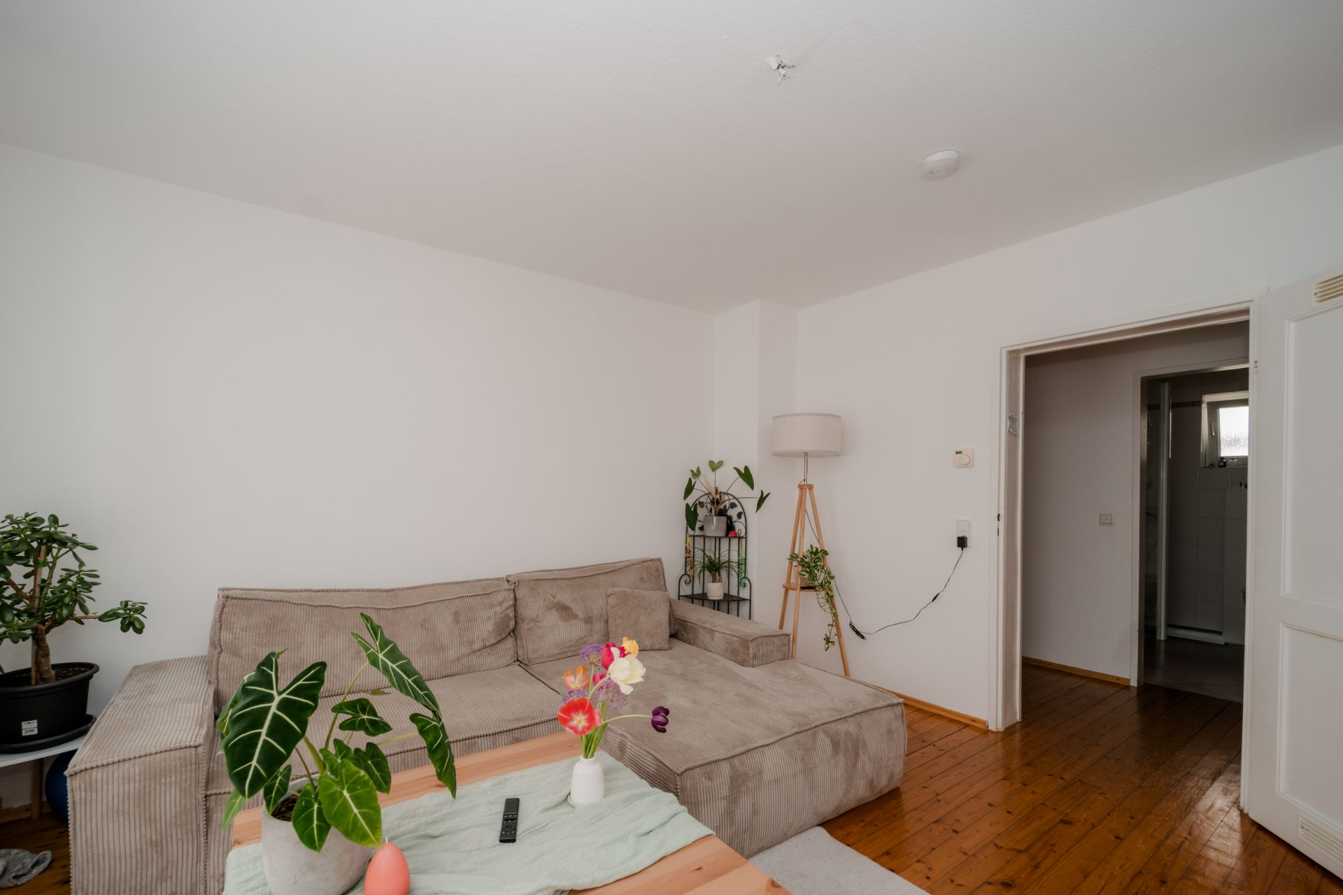 Wohnzimmer mit grauem Ecksofa, Pflanzen, Stehlampe und Holzboden.