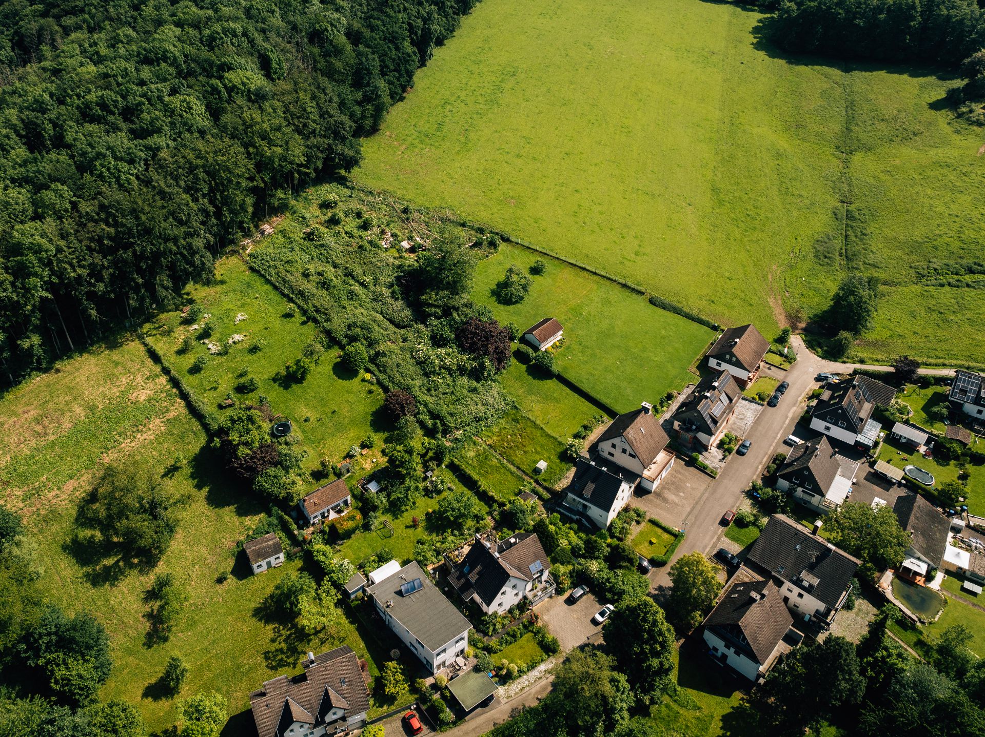 Luftaufnahme von Wohnhäusern mit Gärten an einem Waldrand und großen grünen Wiesen.