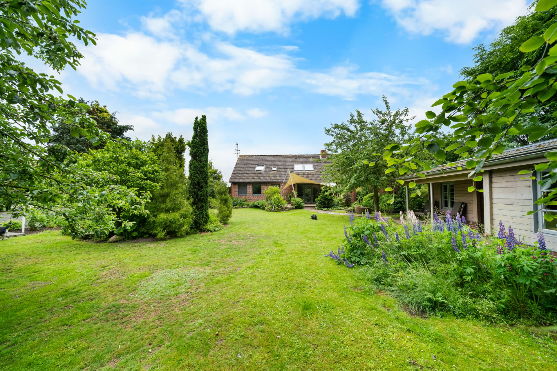 Großer grüner Garten mit Bäumen, Sträuchern und zwei Häusern im Hintergrund.