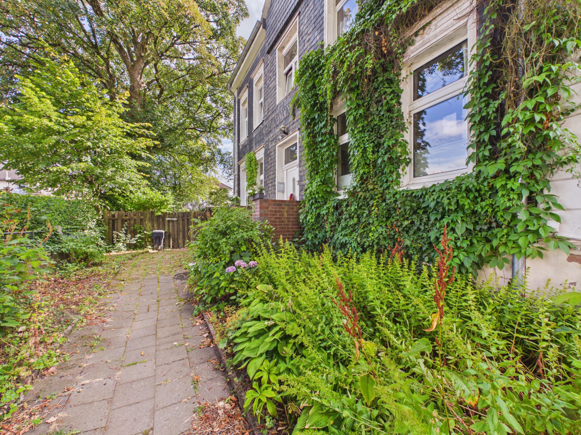 Hausfassade mit vielen Fenstern, Efeu und Gartenweg, umgeben von grünen Pflanzen.
