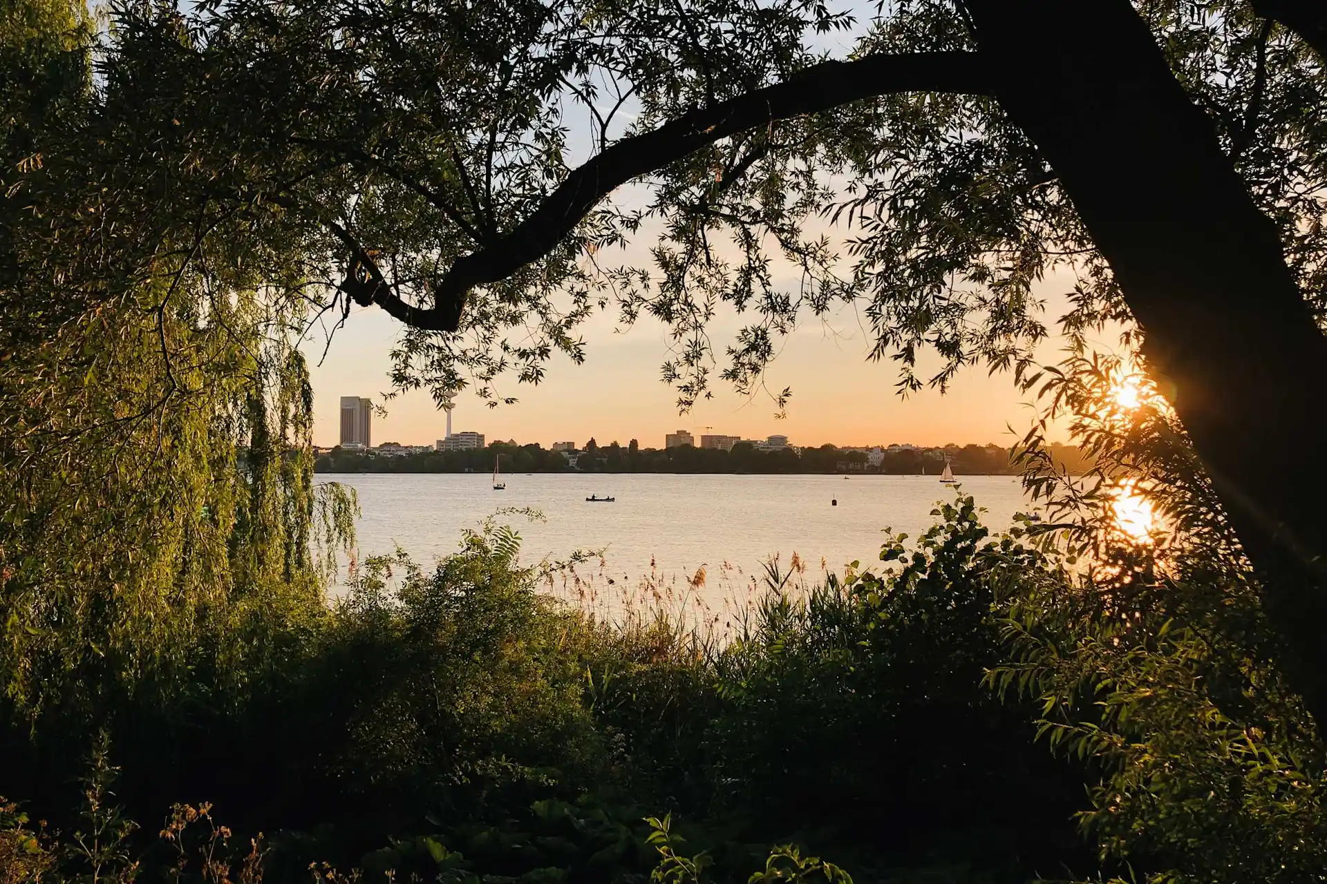 Blick durch Bäume auf einen See mit Booten bei Sonnenuntergang, im Hintergrund sind Gebäude sichtbar.