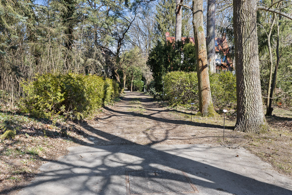 Schattiger Weg im Garten mit Bäumen und Sträuchern, Hausdach im Hintergrund sichtbar.
