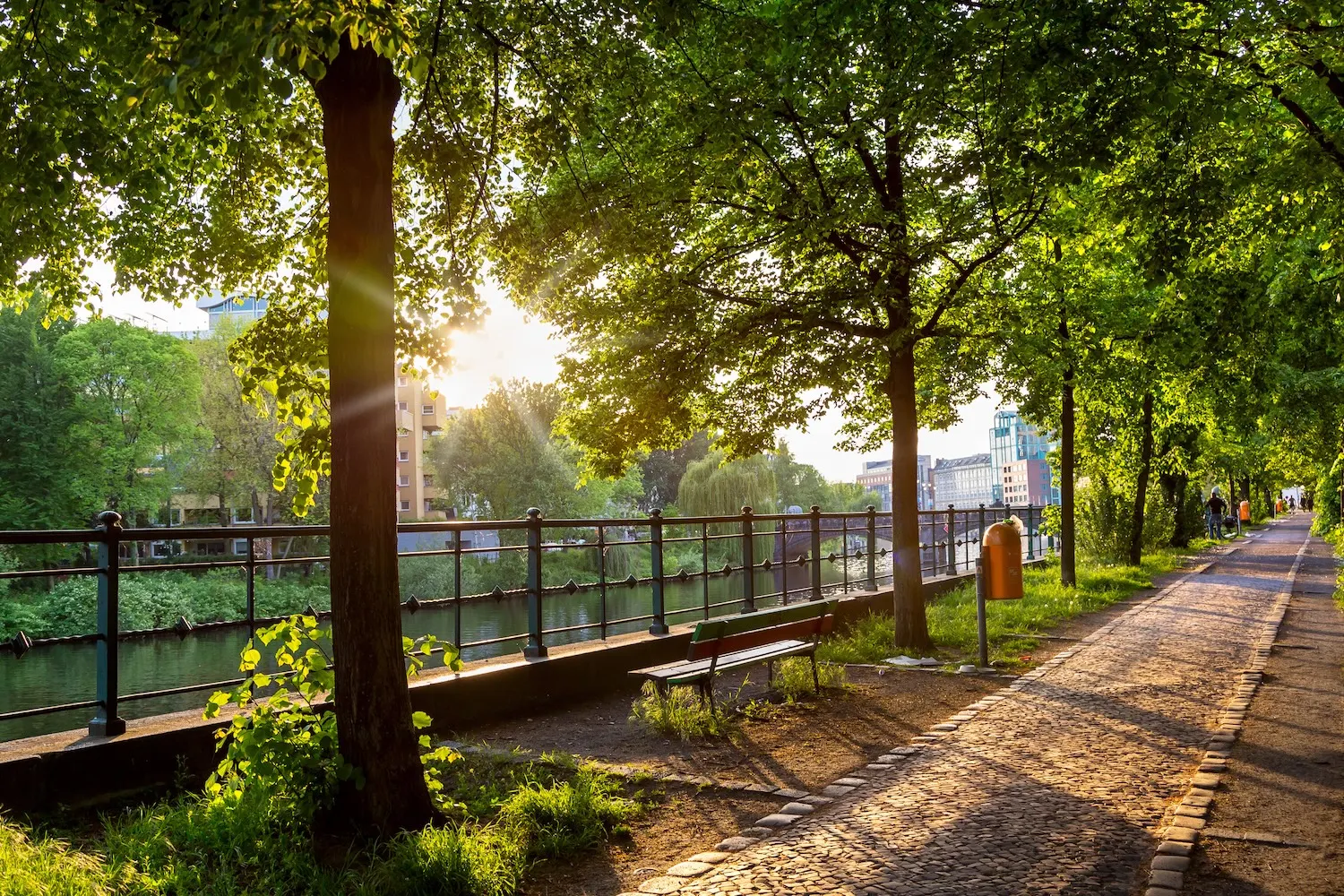 Baumbestandener Weg am Fluss mit Bank und Mülleimer bei Sonnenuntergang.