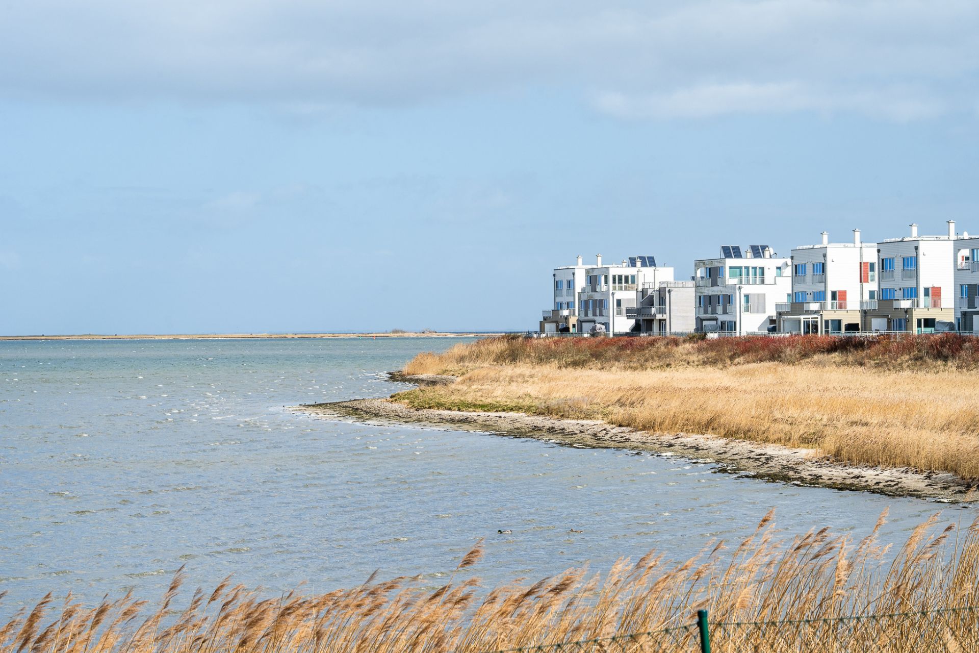 Moderne Wohngebäude am Ufer mit Blick auf das Wasser und Schilfgras im Vordergrund.