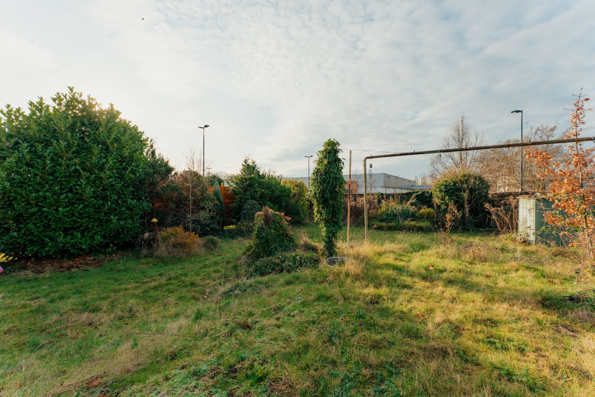 Garten mit überwachsenen Sträuchern, Bäumen und Rasenfläche, metallische Rohrkonstruktion sichtbar.
