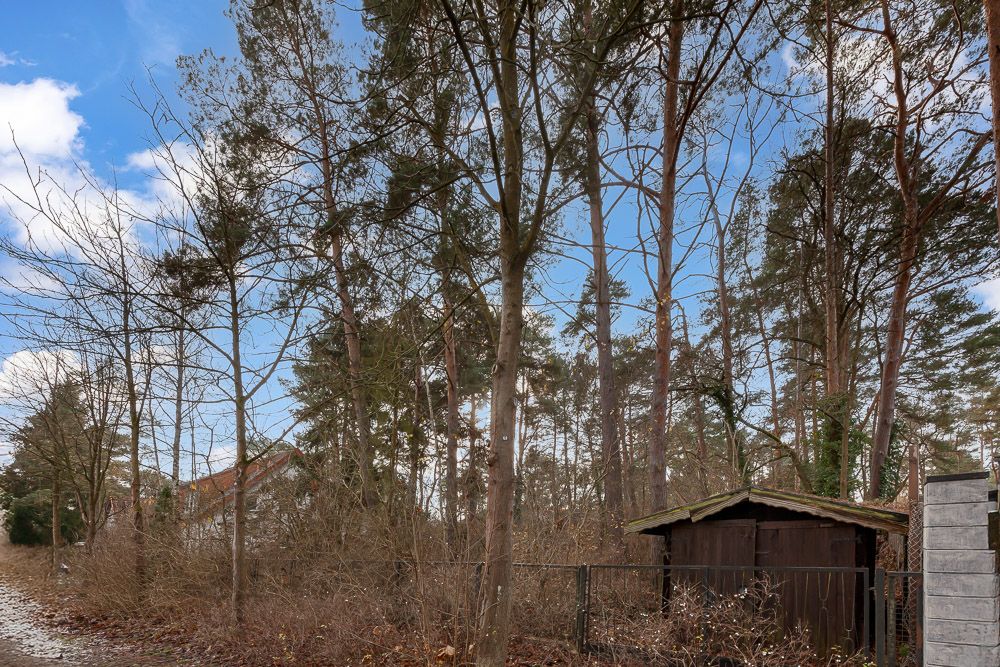 Waldgrundstück mit Schuppen, Bäumen und Zaun im Vordergrund.