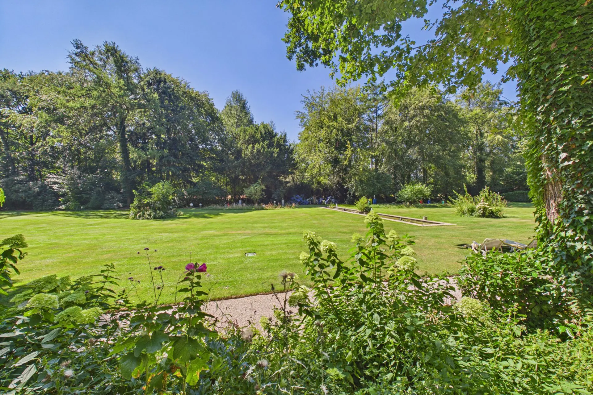Großer grüner Garten mit Rasen, Bäumen und vereinzelten Blumen im Vordergrund.