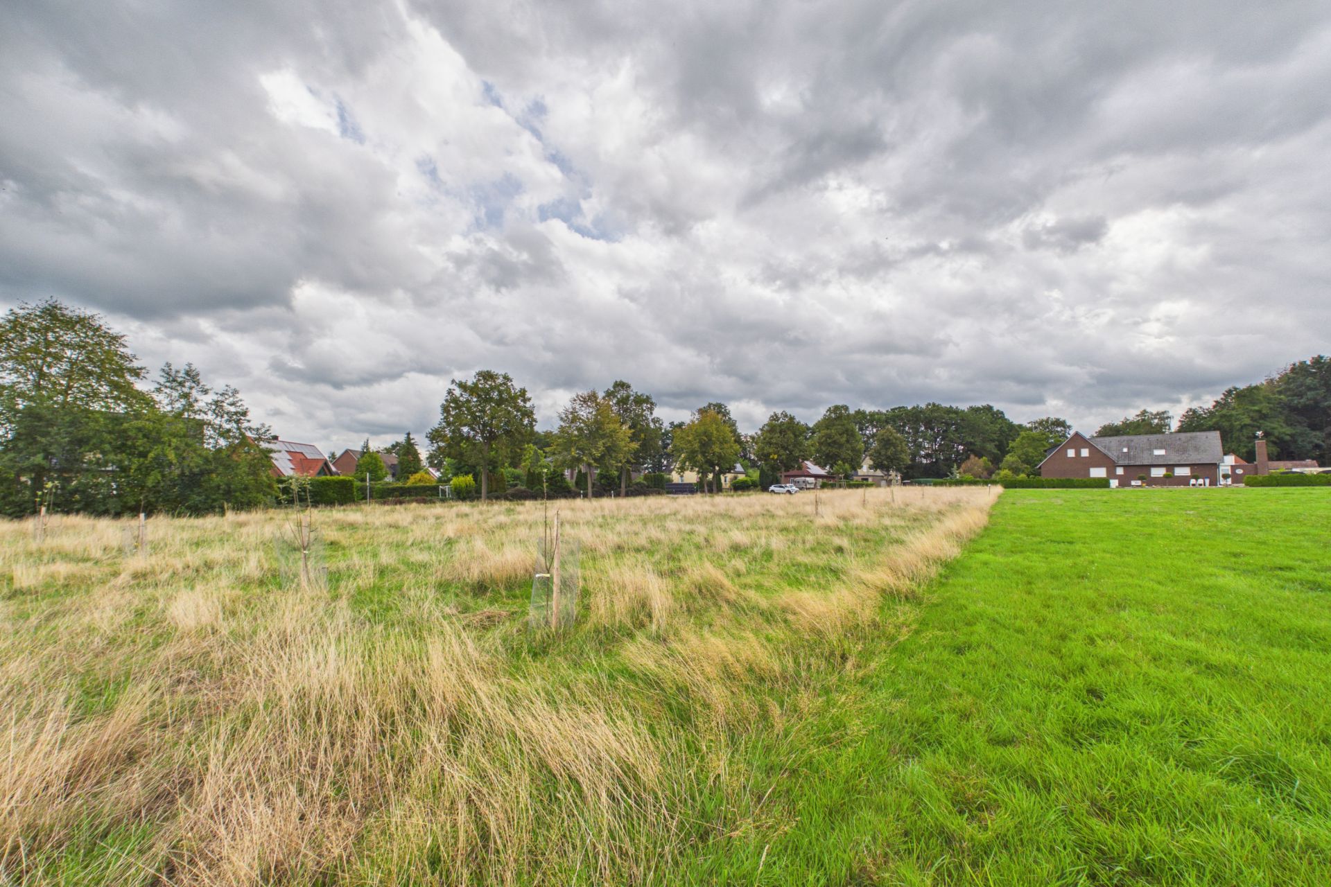 Große Wiese mit kurzem und hohem Gras, im Hintergrund einige Häuser und Bäume.
