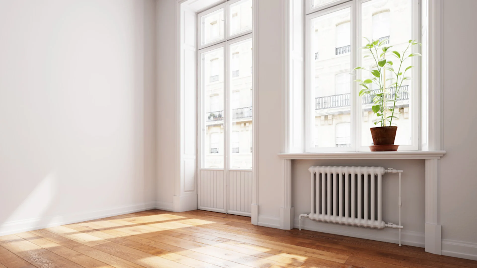 Heller Raum mit großen Fenstern, Parkettboden und einer Pflanze auf der Fensterbank.