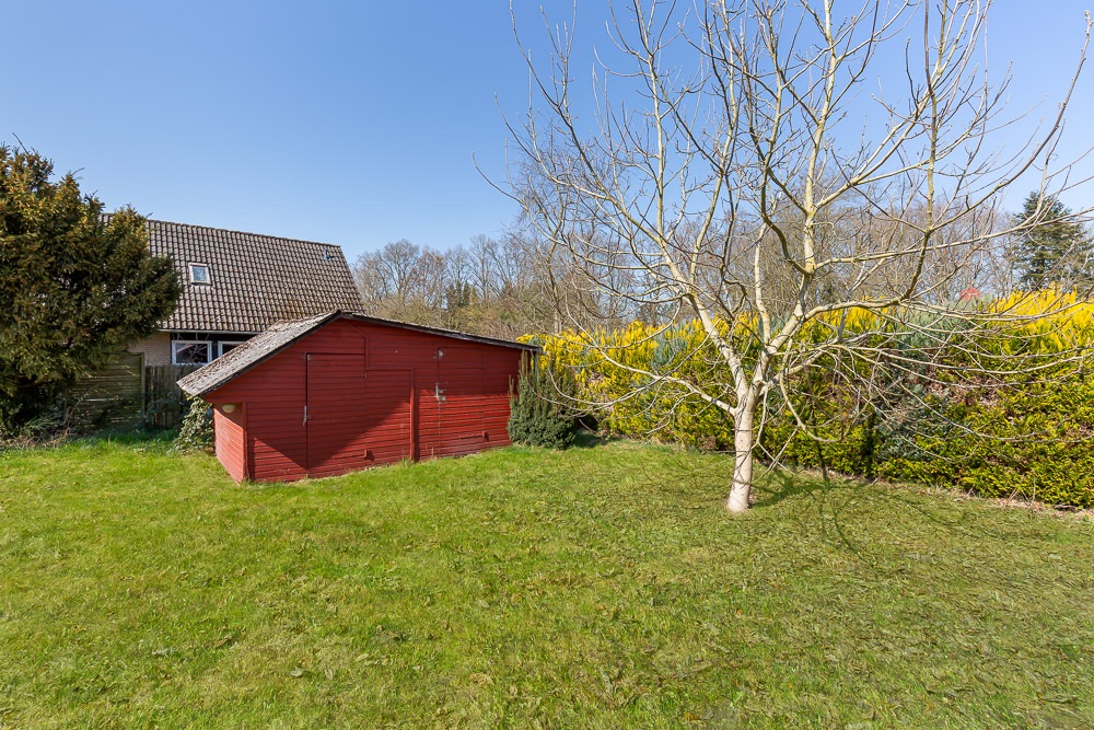 Roter Holzschuppen im Garten mit grünem Rasen und einem kahlen Baum im Vordergrund.