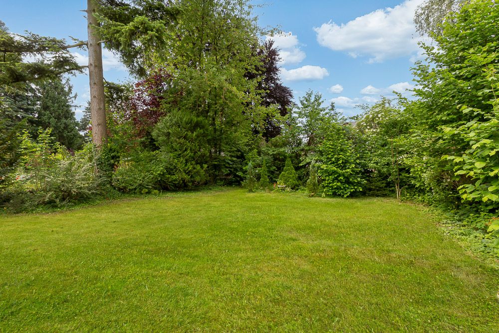 Grüner Garten mit Rasenfläche, umgeben von dichten Bäumen und Sträuchern unter blauem Himmel.