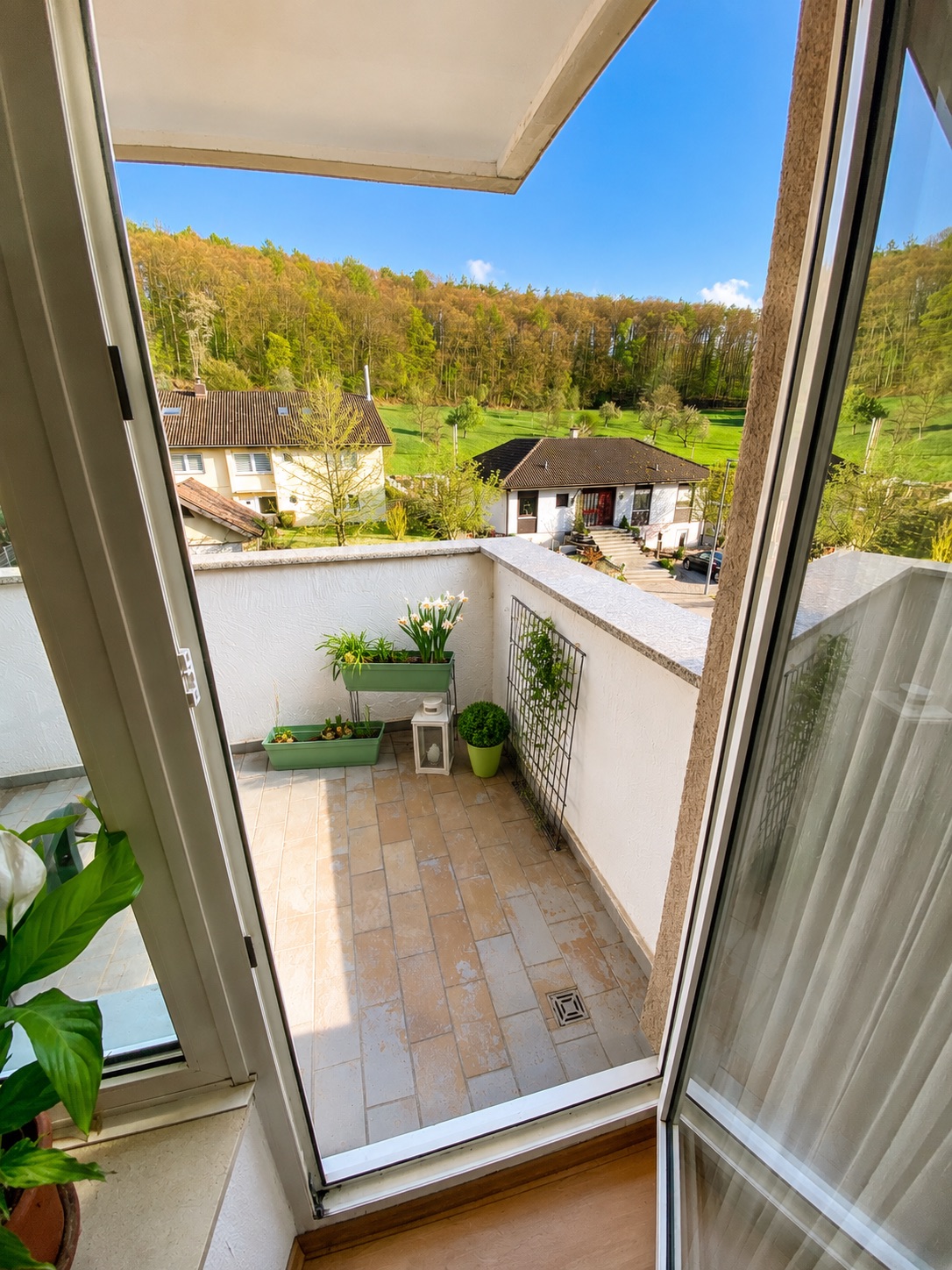 Balkon mit Pflanzen, Blick auf Häuser und grünen Wald bei sonnigem Wetter.