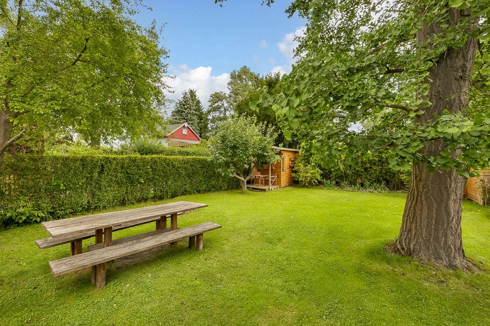 Grüner Garten mit Holztisch, großen Bäumen und einer kleinen Holzhütte im Hintergrund.