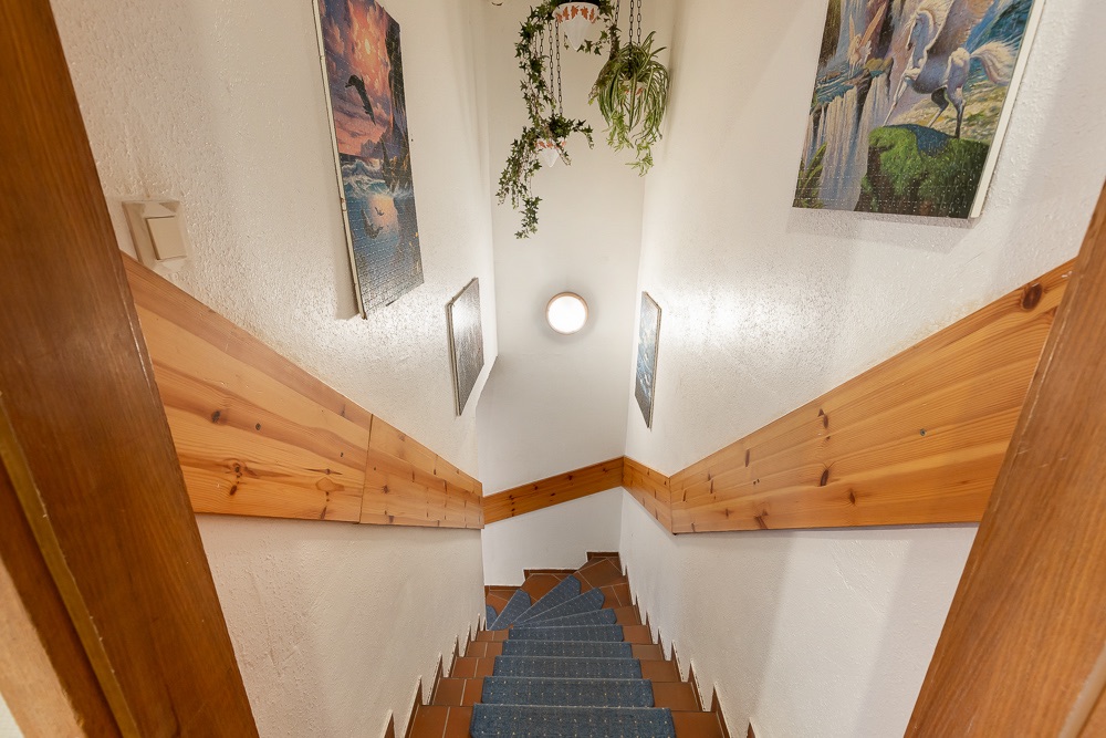 Treppe mit blauem Teppich, Holzverkleidung, Pflanzen und Bildern an den weißen Wänden.