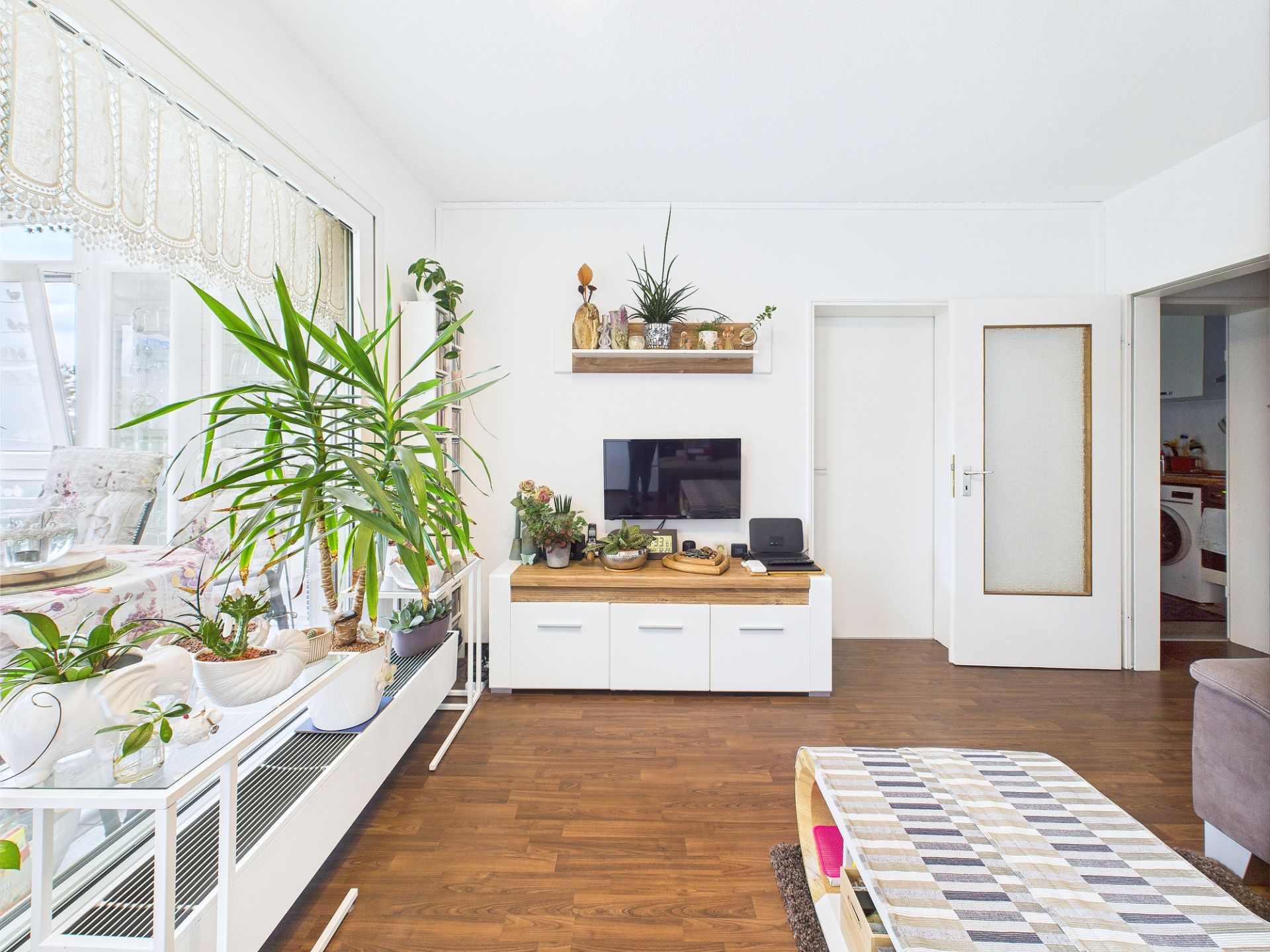 Helles Wohnzimmer mit vielen Zimmerpflanzen, TV an der Wand und Holzboden.
