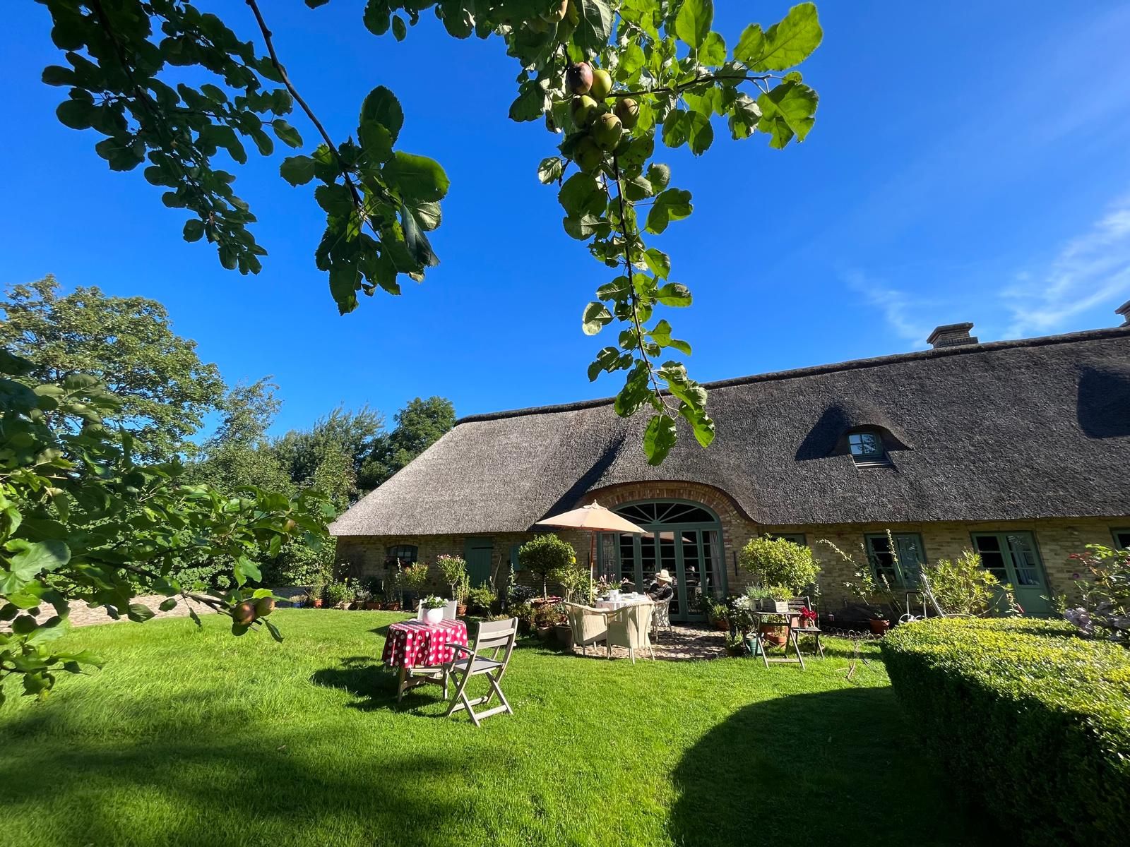 Gemütliches Haus mit Reetdach, Garten und Gartenmöbeln unter blauem Himmel.