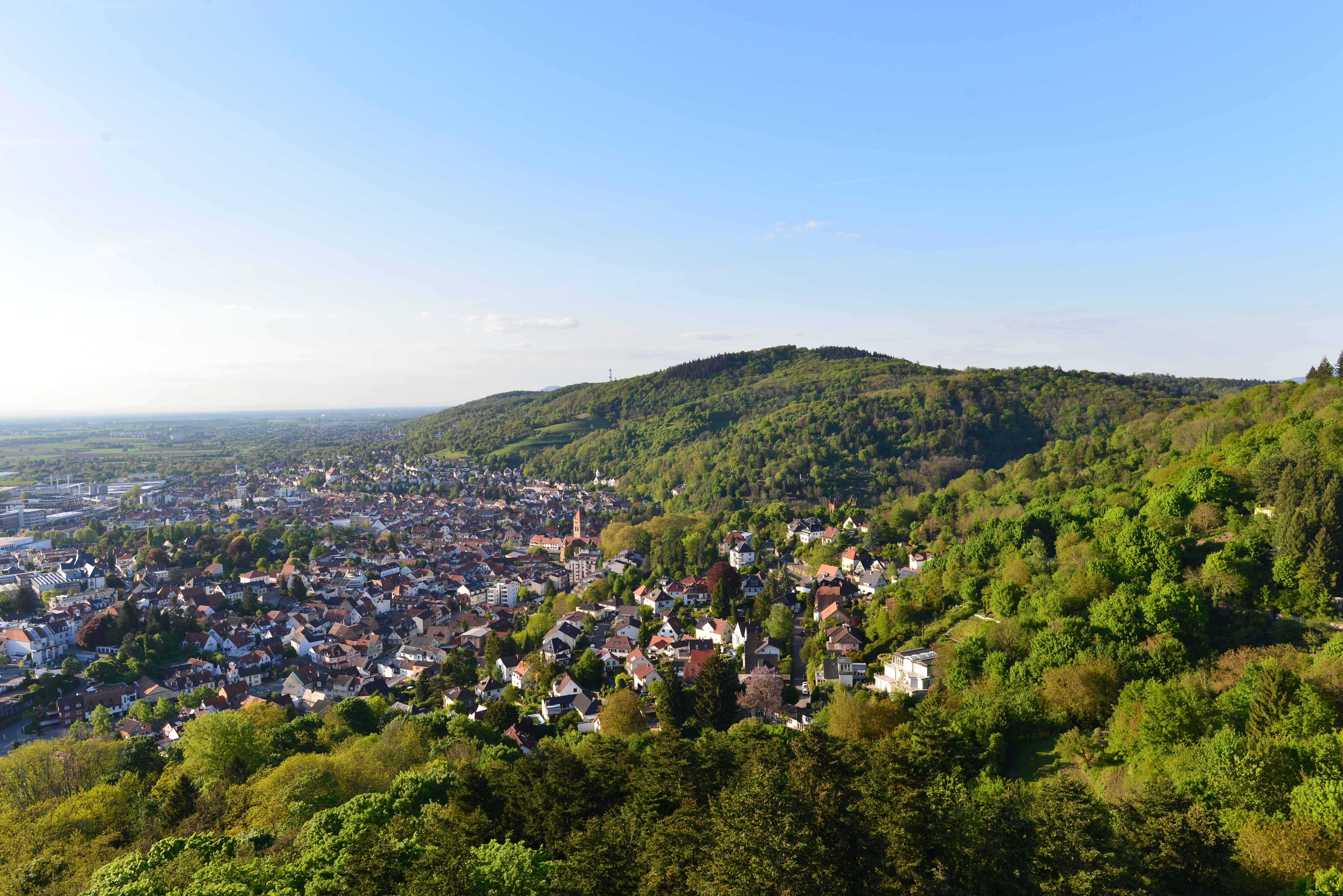 Blick auf eine Stadt mit vielen Häusern und bewaldeten Hügeln im Hintergrund.