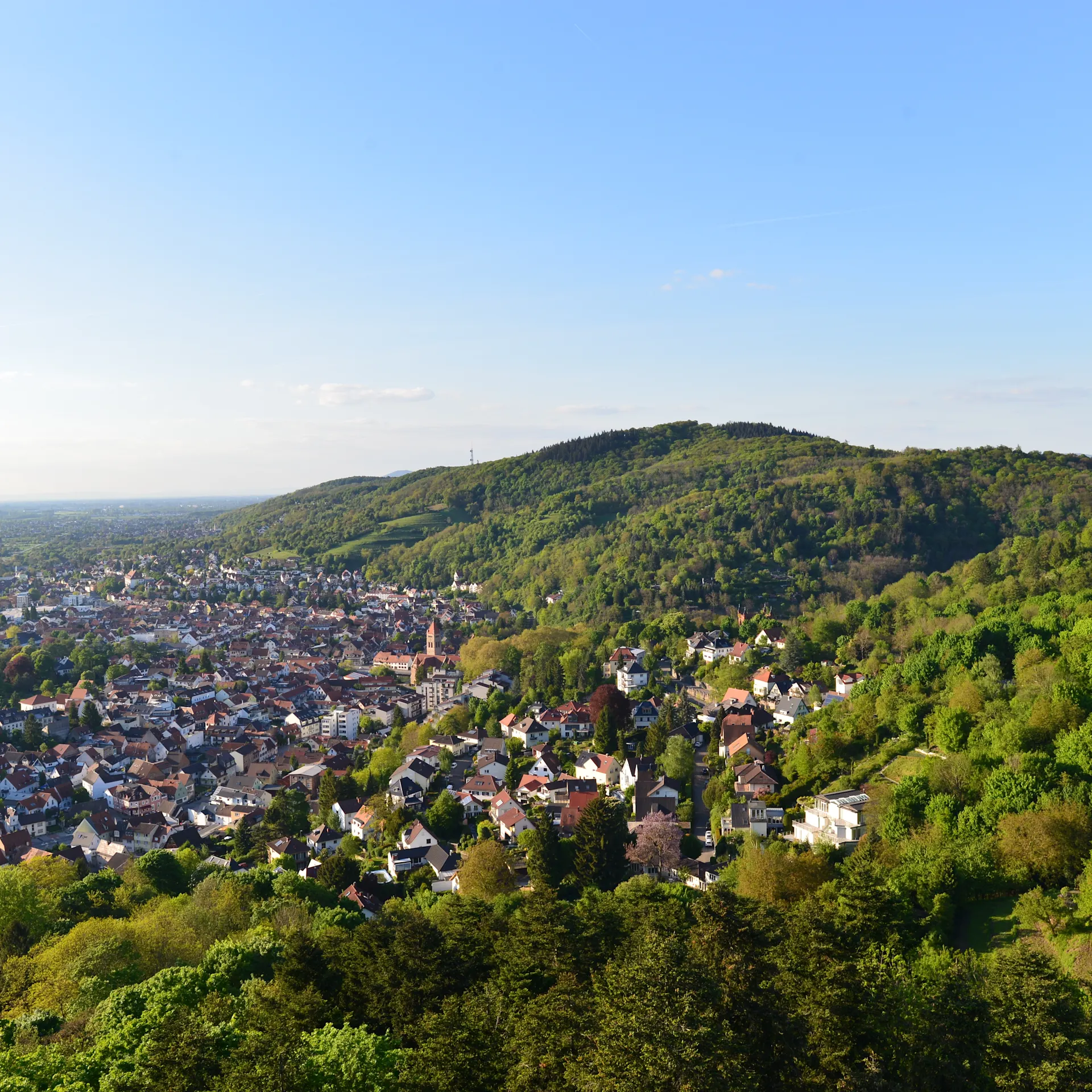 Blick auf eine Stadt mit vielen Häusern und bewaldeten Hügeln im Hintergrund.