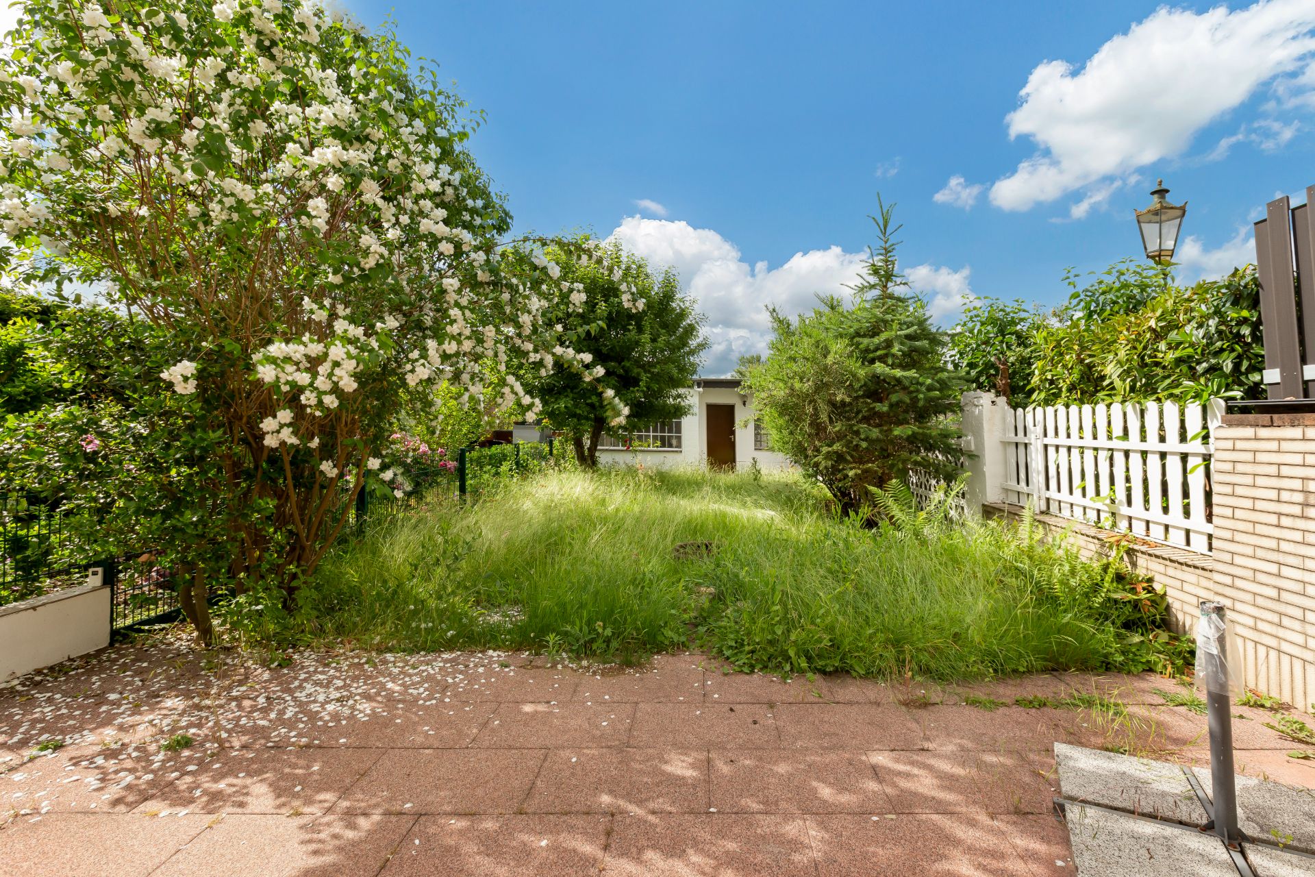 Garten mit Blumen, Bäumen, hohem Gras und gepflasterter Terrasse an einem sonnigen Tag.