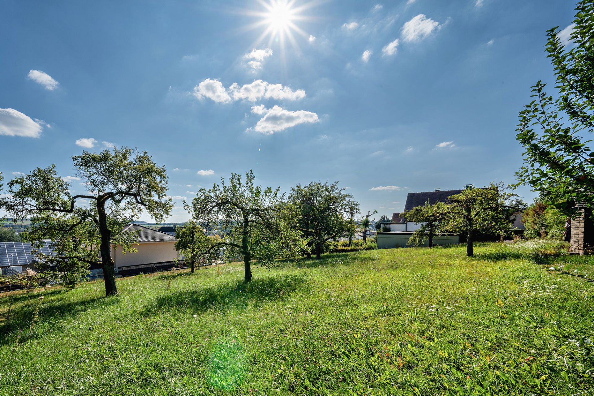 Grüner Garten mit Bäumen und Häusern im Hintergrund bei Sonnenschein.
