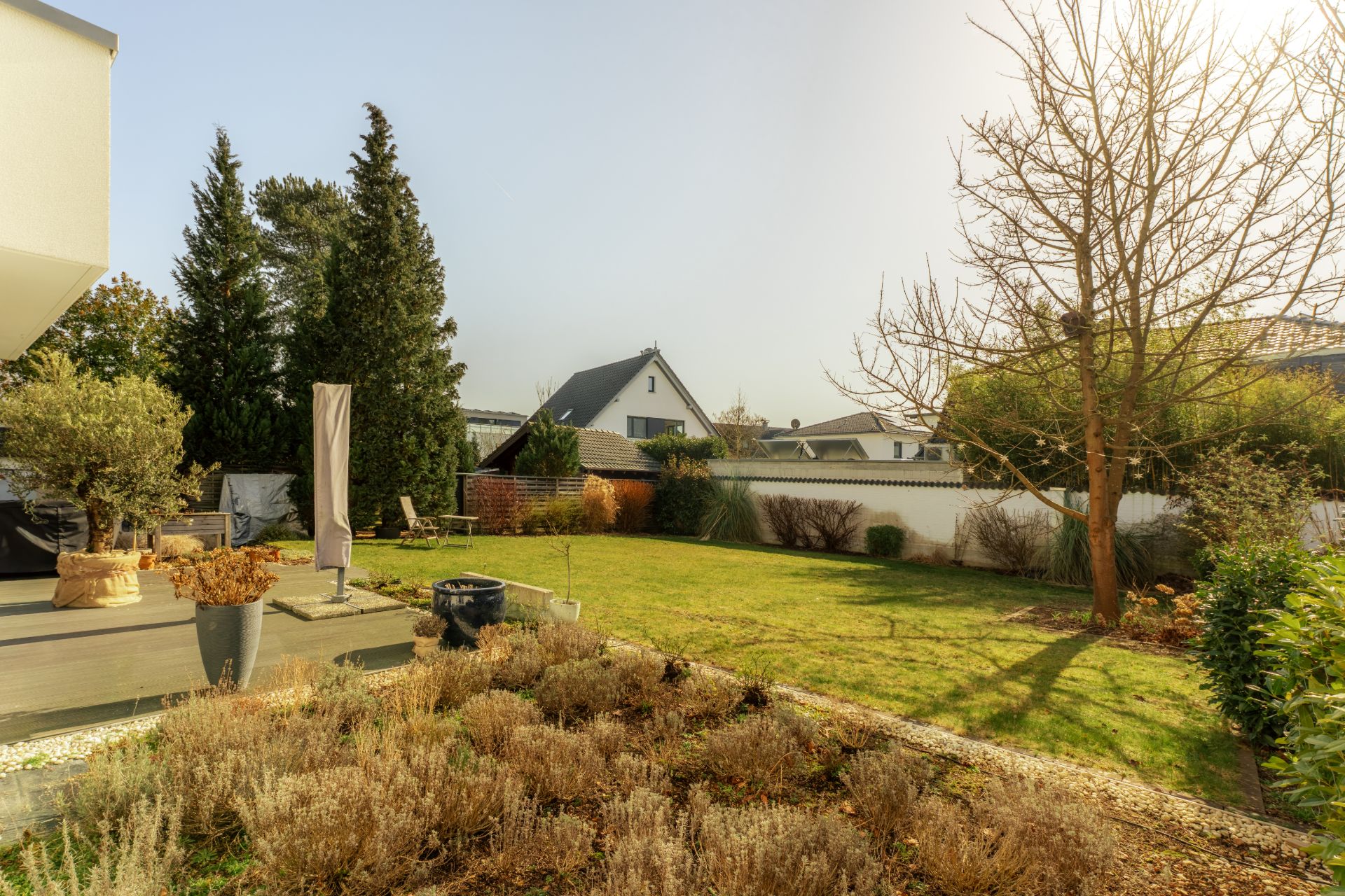Garten mit Rasenfläche, Bäumen, Terrasse und Sichtschutzzaun bei Sonnenlicht.