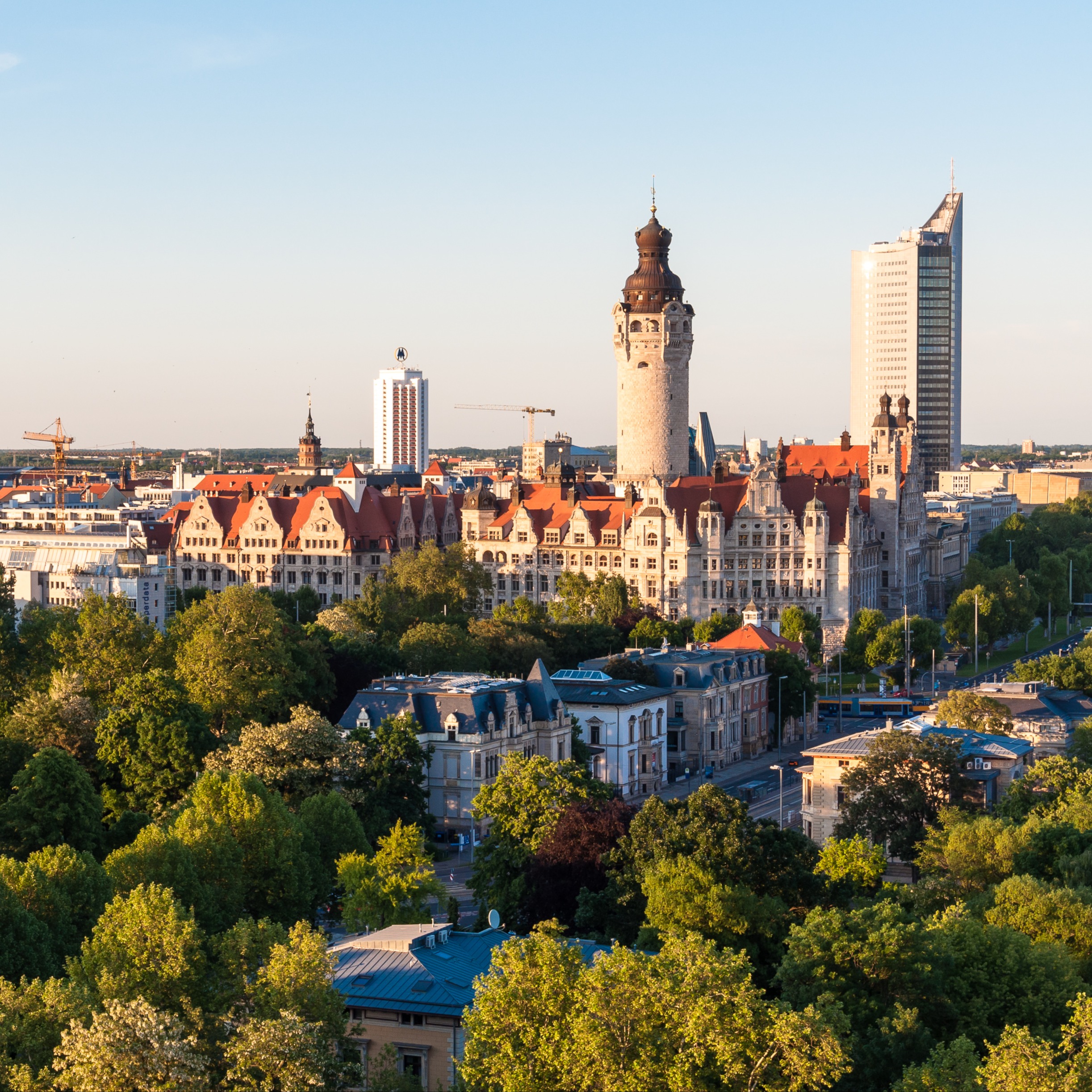 Stadtansicht mit historischen und modernen Gebäuden, viele Bäume im Vordergrund.