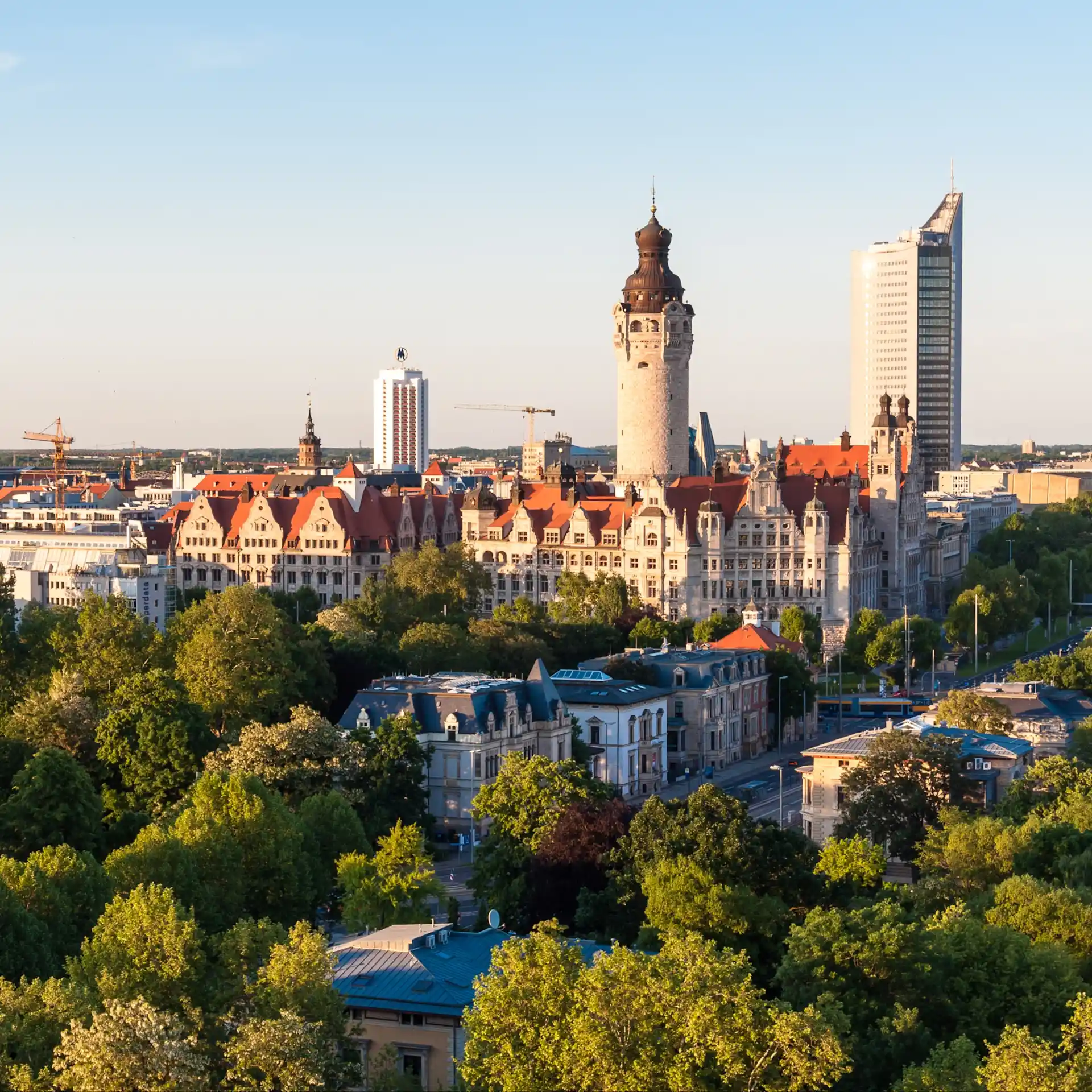 Stadtansicht mit historischen und modernen Gebäuden, viele Bäume im Vordergrund.