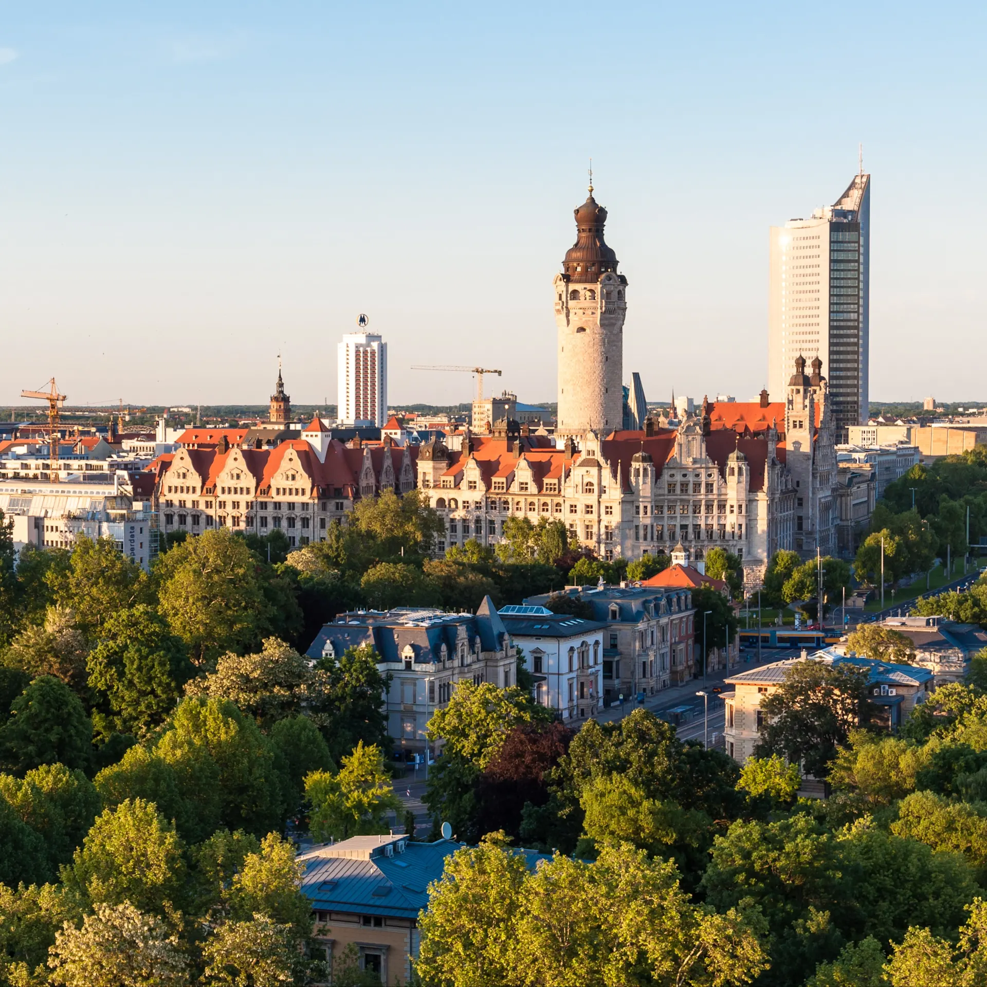 Stadtansicht mit historischen und modernen Gebäuden, viele Bäume im Vordergrund.