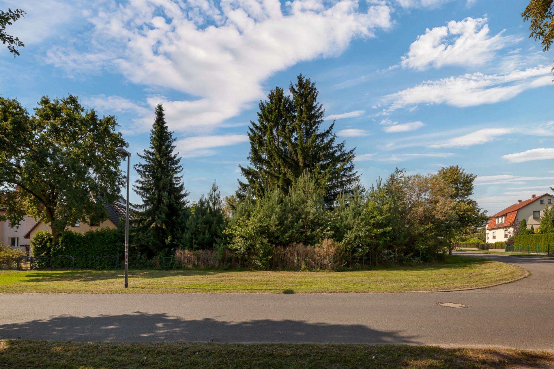 Wohnstraße mit Bäumen, Gehweg und Häusern im Hintergrund unter blauem Himmel.