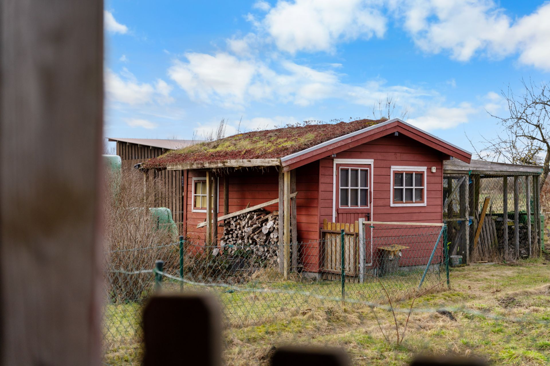 Kleines rotes Gartenhaus mit Gründach und gestapeltem Brennholz daneben.
