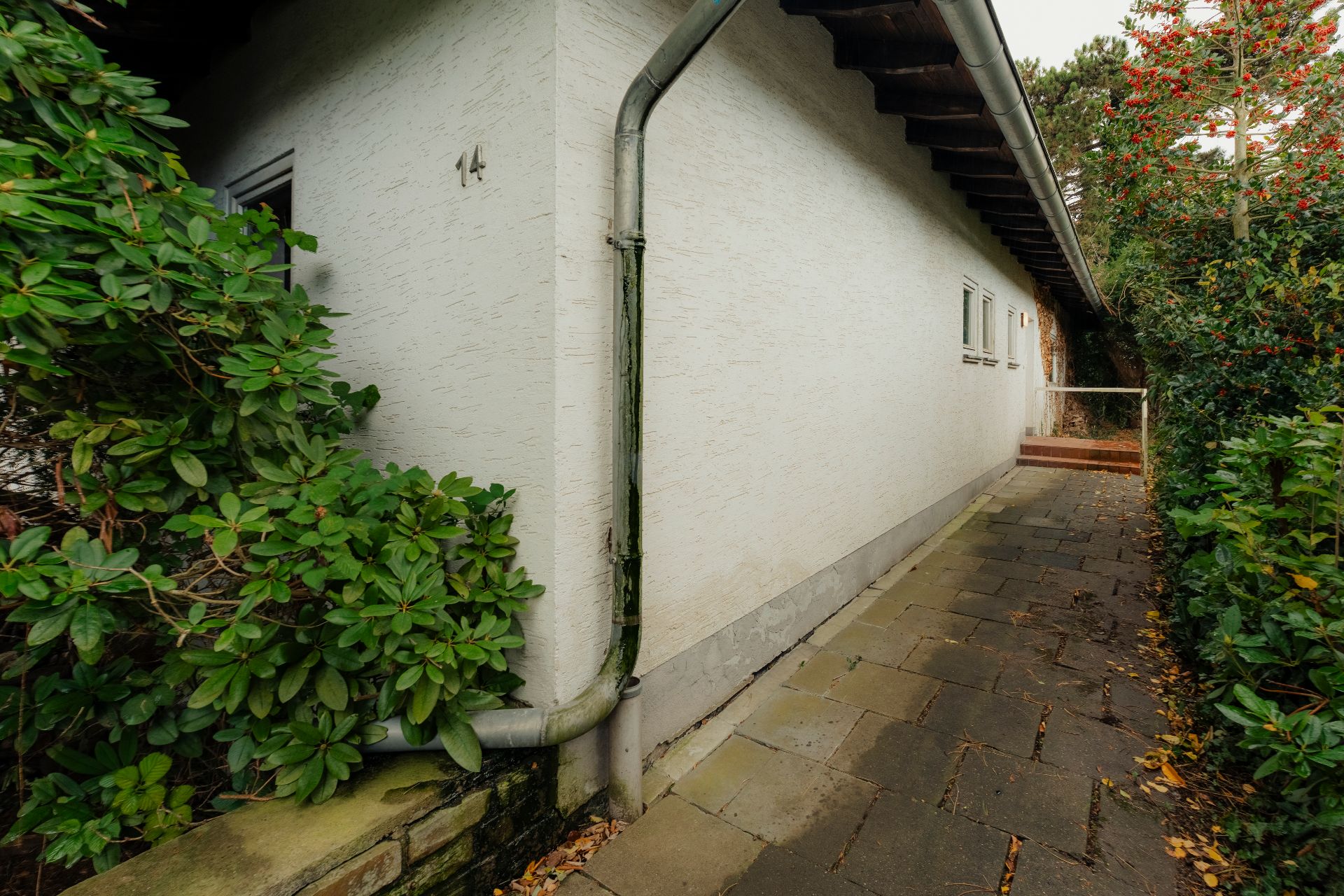 Seitlicher Gehweg entlang eines weißen Hauses mit Fallrohr und grünen Büschen.