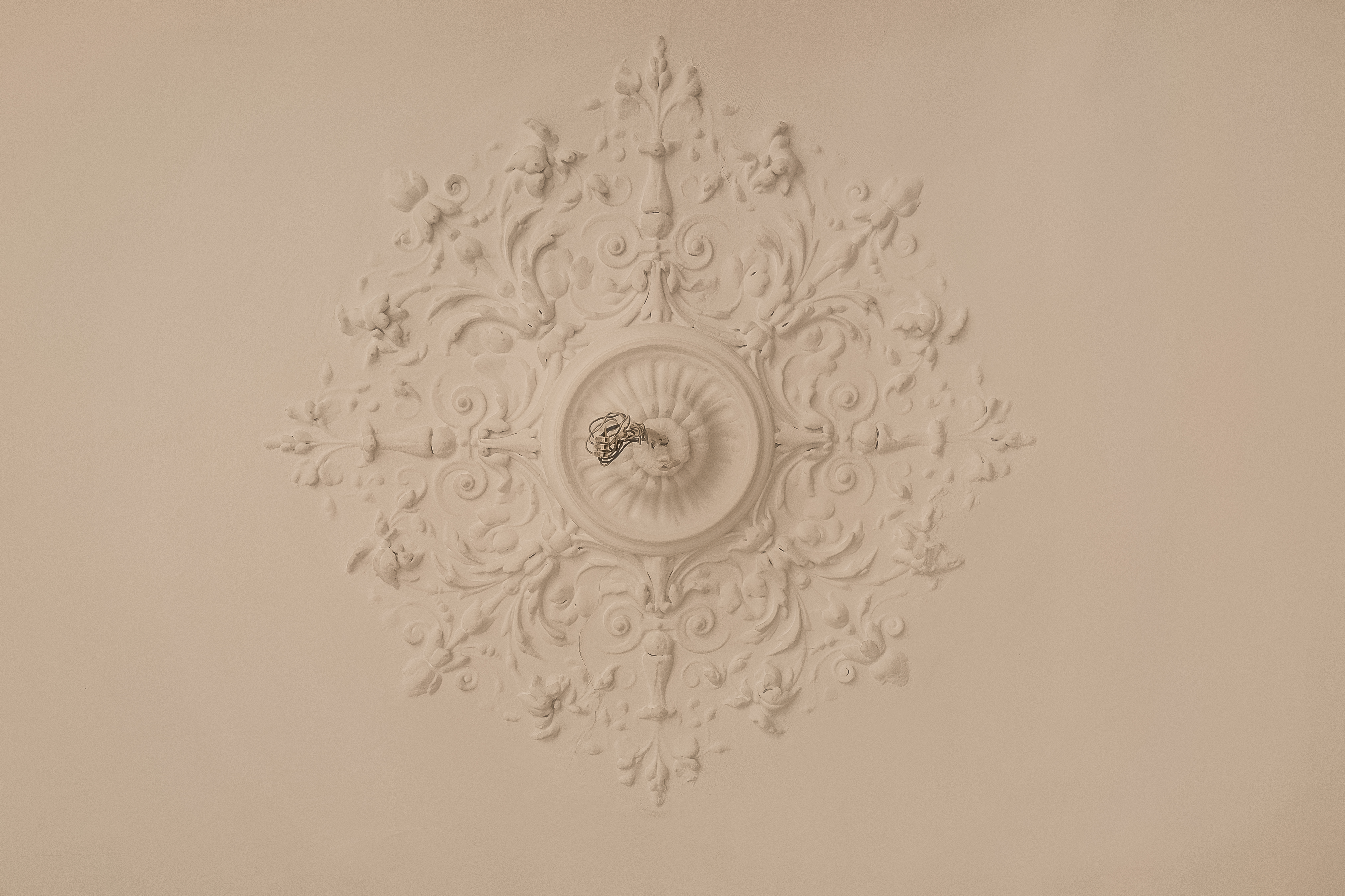 Stuckrosette mit floralen Mustern an einer hellen Zimmerdecke, Kabel ragt aus der Mitte.