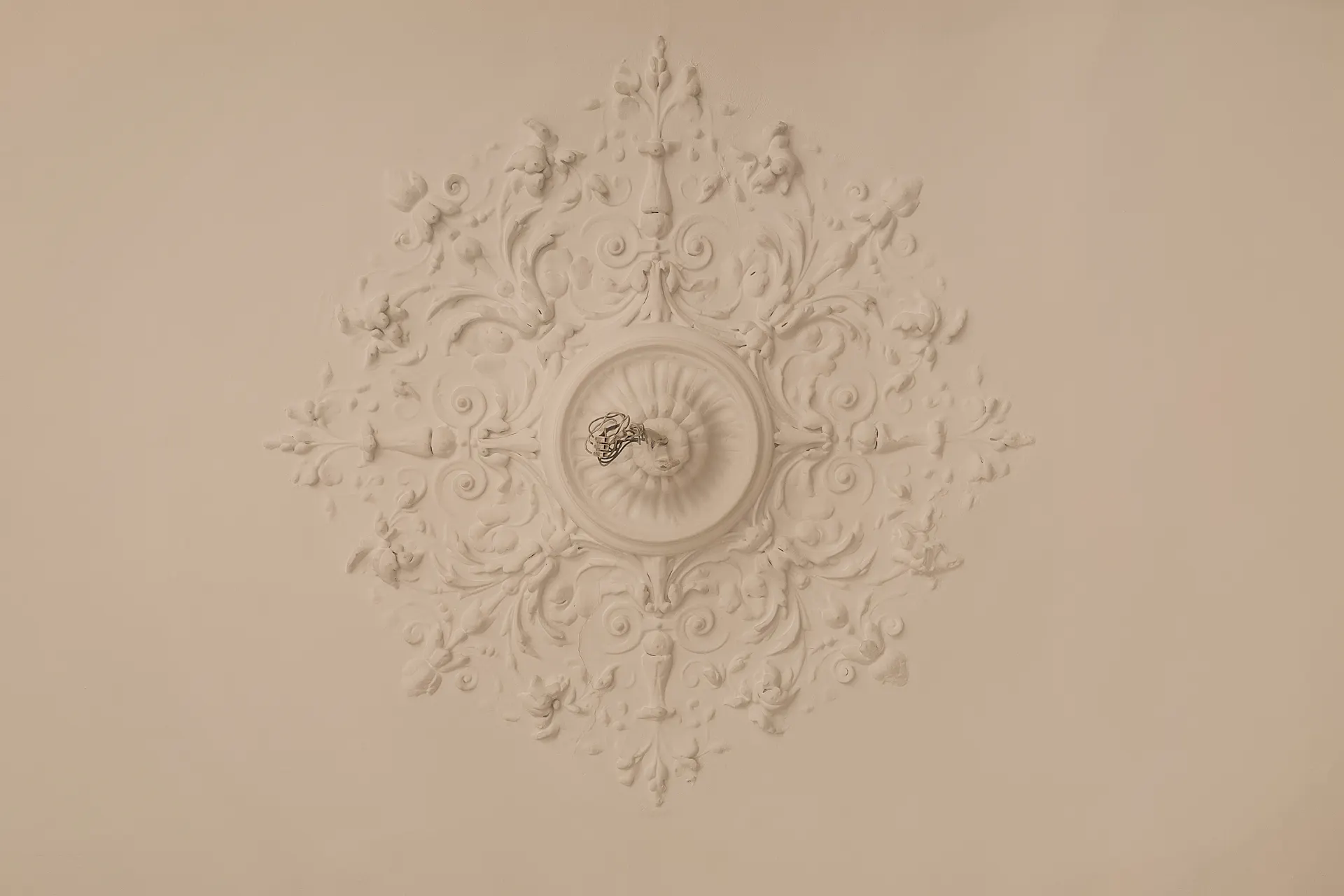 Stuckrosette mit floralen Mustern an einer hellen Zimmerdecke, Kabel ragt aus der Mitte.