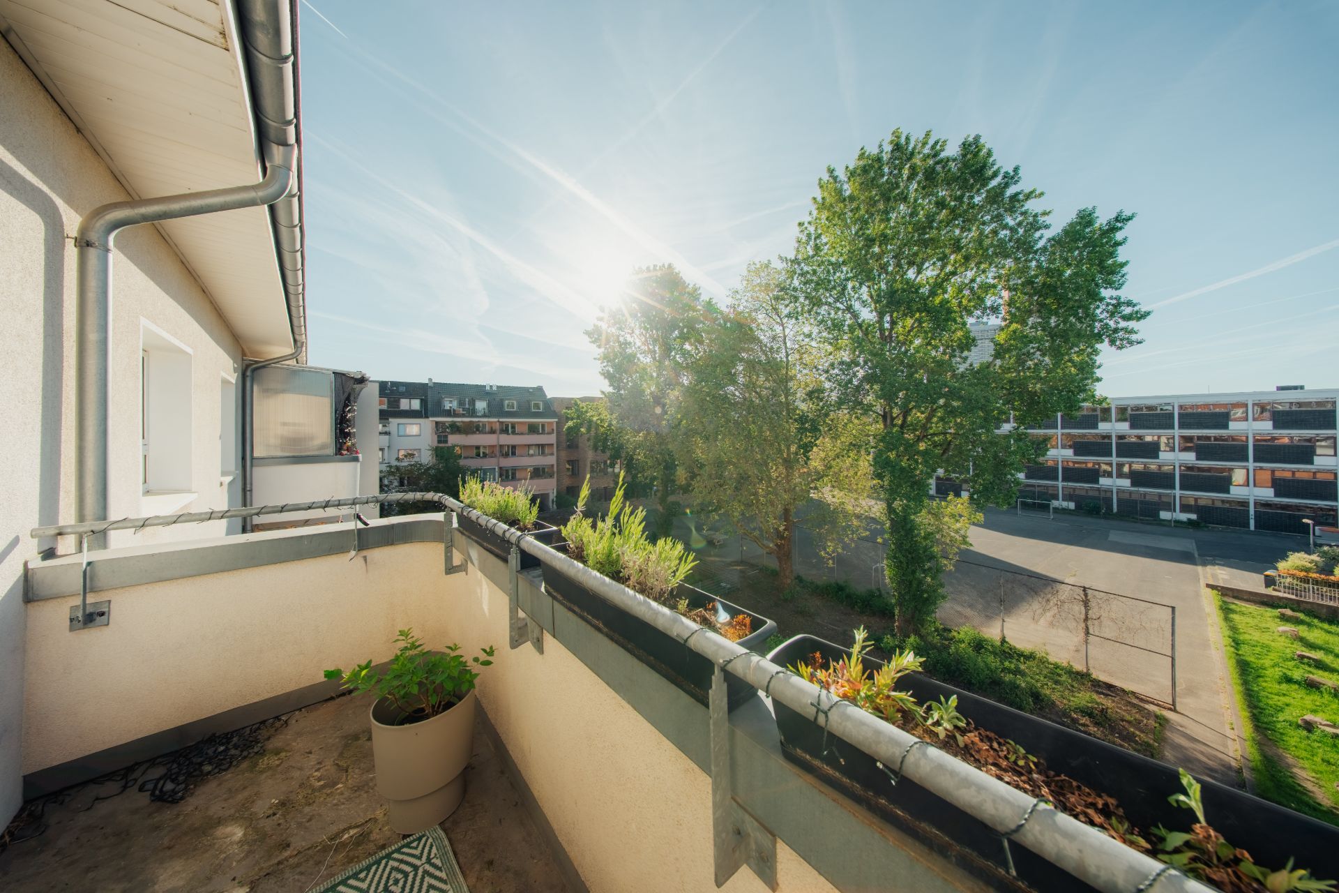 Sonniger Balkon mit Pflanzen, Blick auf Bäume und Wohngebäude im Hintergrund.