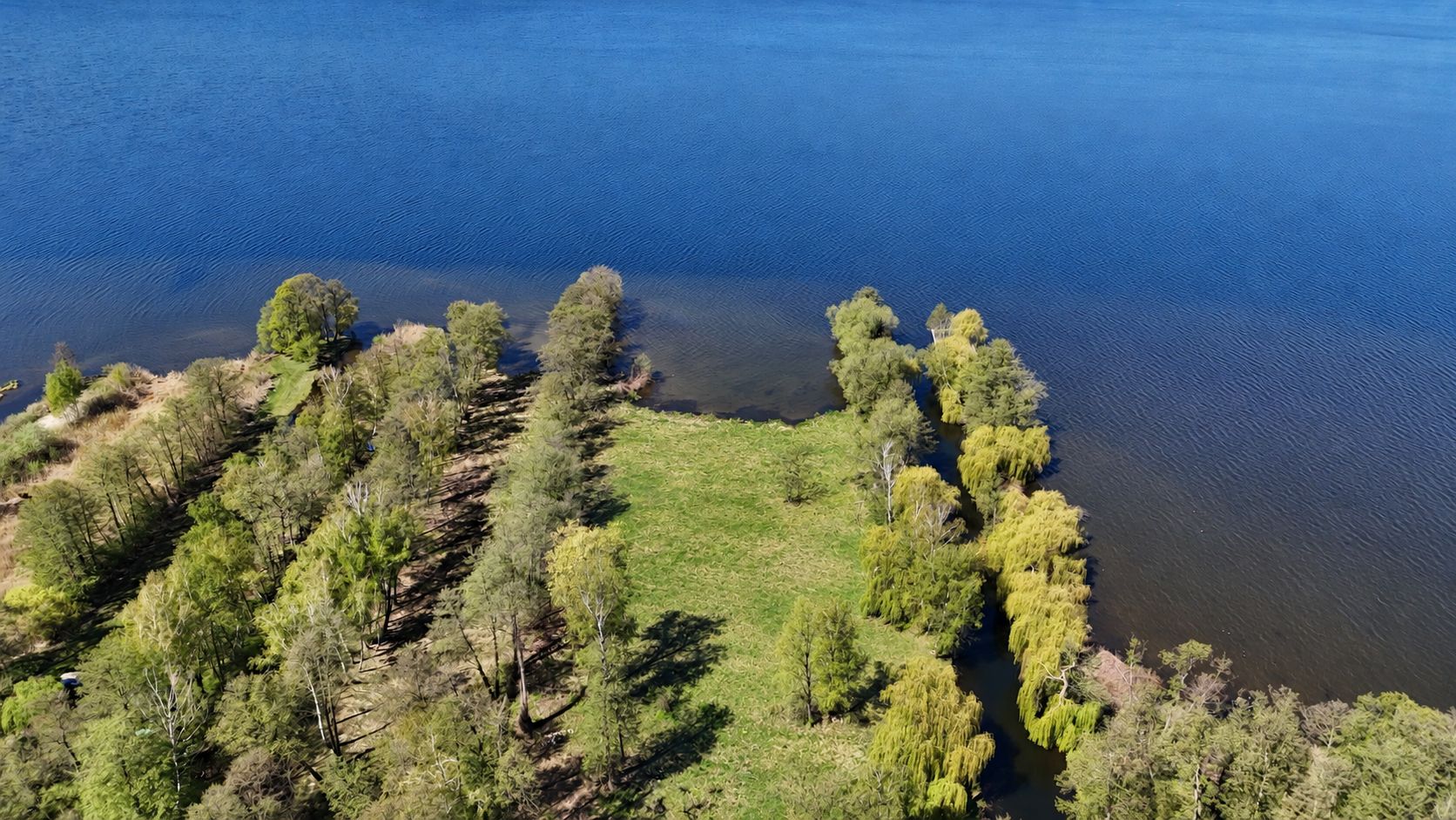 Luftaufnahme von einer grünen Wiese mit Bäumen an einem großen See.