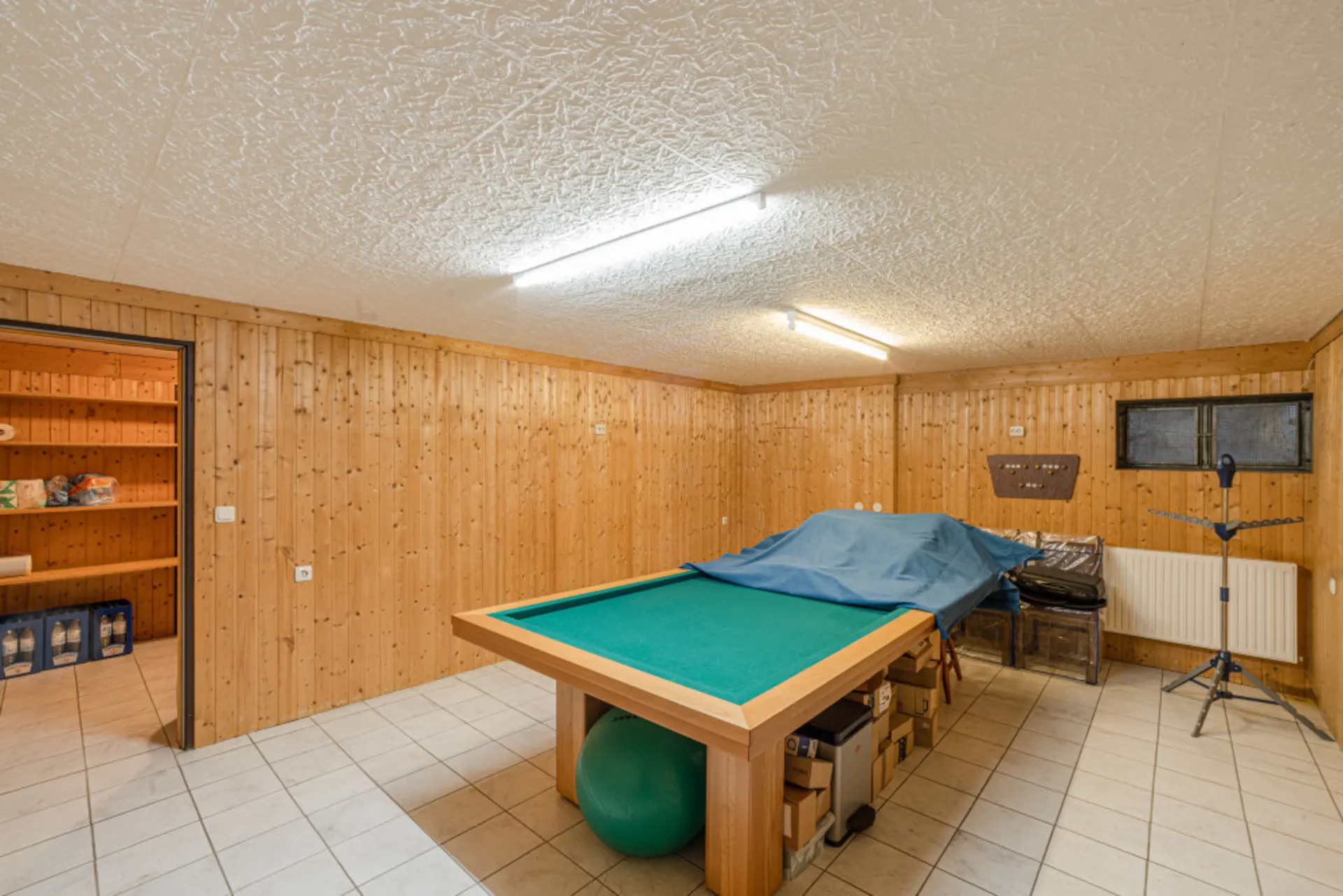 Kellerraum mit Holzvertäfelung, Billardtisch, Regalen und Lagergegenständen.