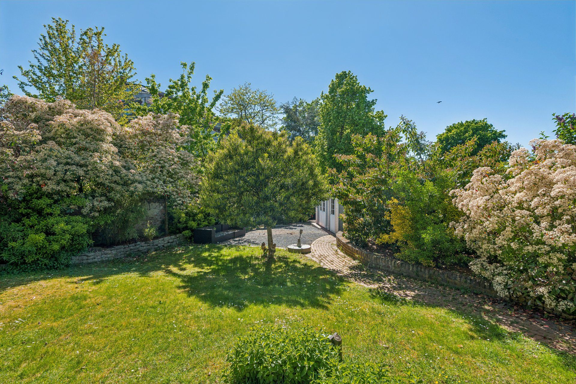 Grüner Garten mit Rasenfläche, Bäumen und blühenden Büschen an einem sonnigen Tag.
