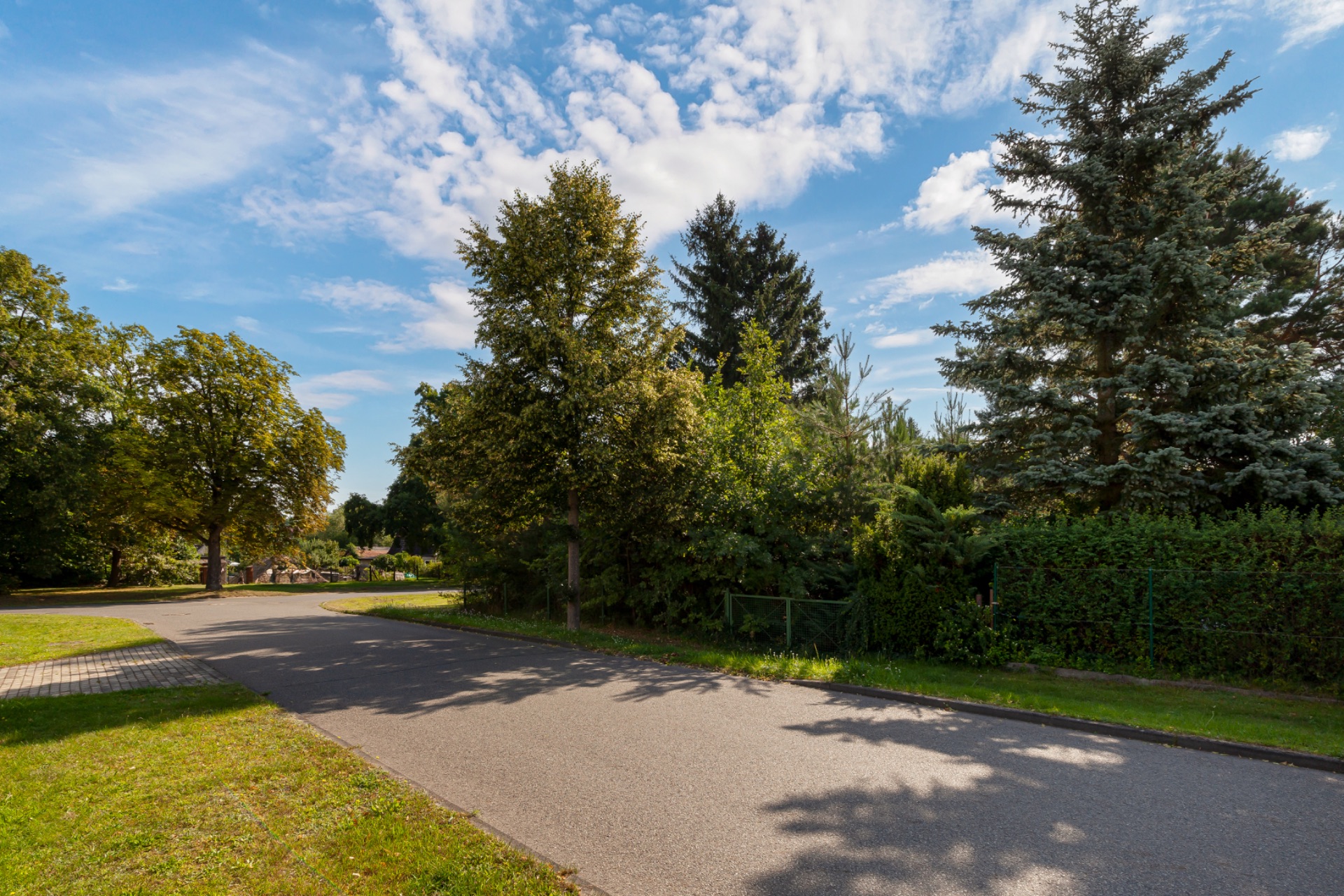 Asphaltstraße am Wohngebiet mit Bäumen und grünem Rasen an einem sonnigen Tag.