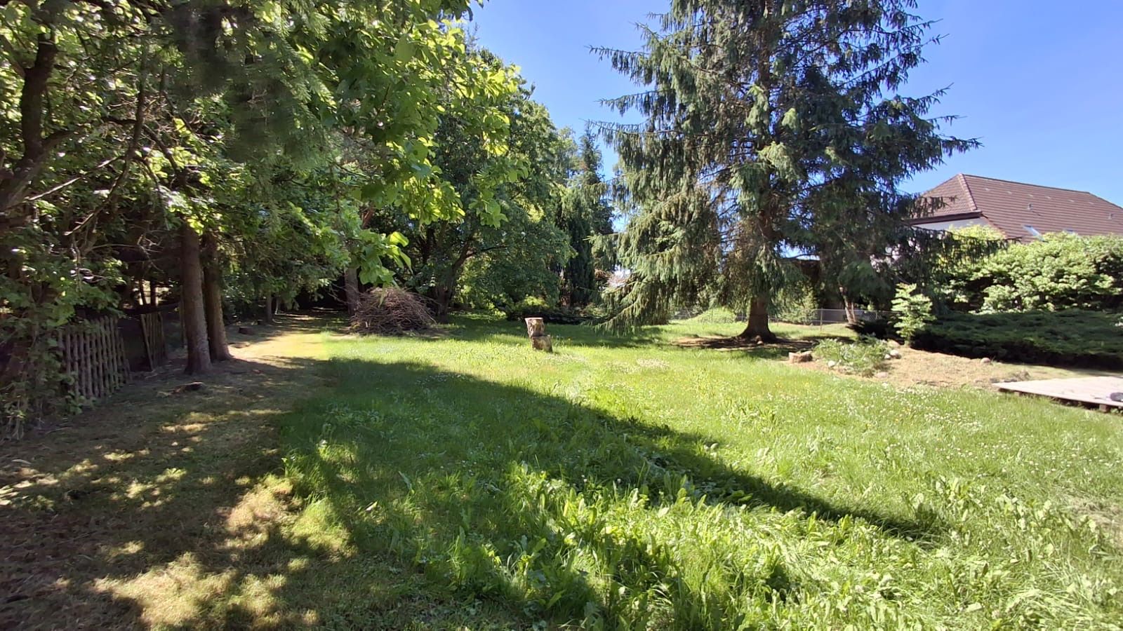 Großer, sonniger Garten mit Rasen, Bäumen und einem Haus im Hintergrund.