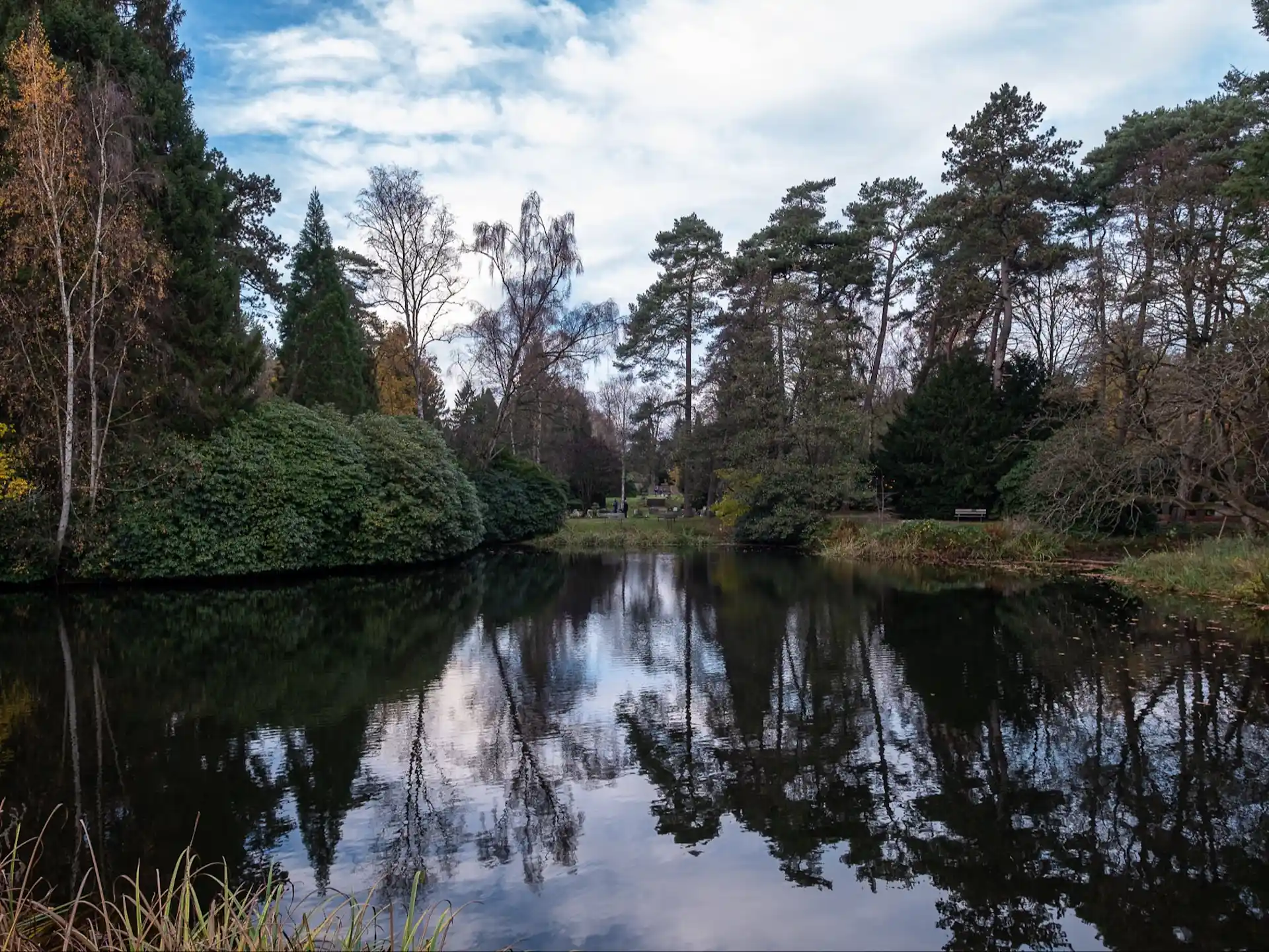 Teich mit Spiegelung der Bäume am Ufer, umgeben von dichter Vegetation und Bänken.