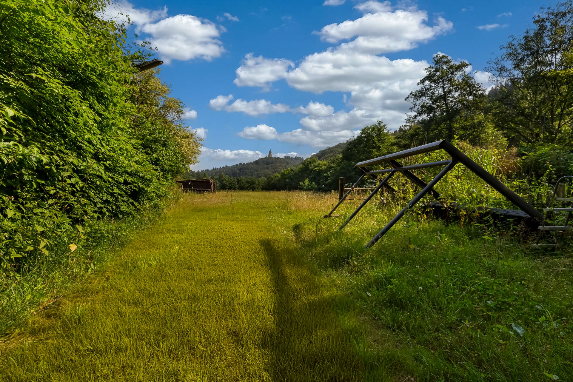 Großer Garten mit Grasfläche, Klettergerüst und viel Grün, Bäume und Wiese im Hintergrund.