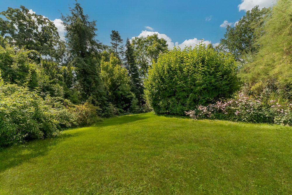 Grüner Garten mit Rasen und dichten Büschen, umgeben von Bäumen unter blauem Himmel.