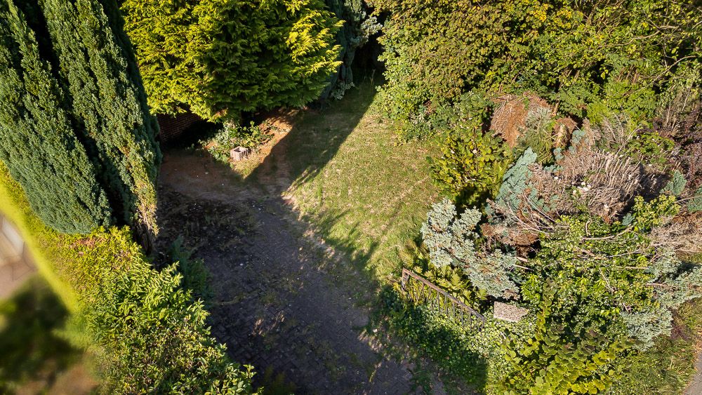Blick von oben auf einen Garten mit Rasenflächen und dicht bewachsenen Büschen.
