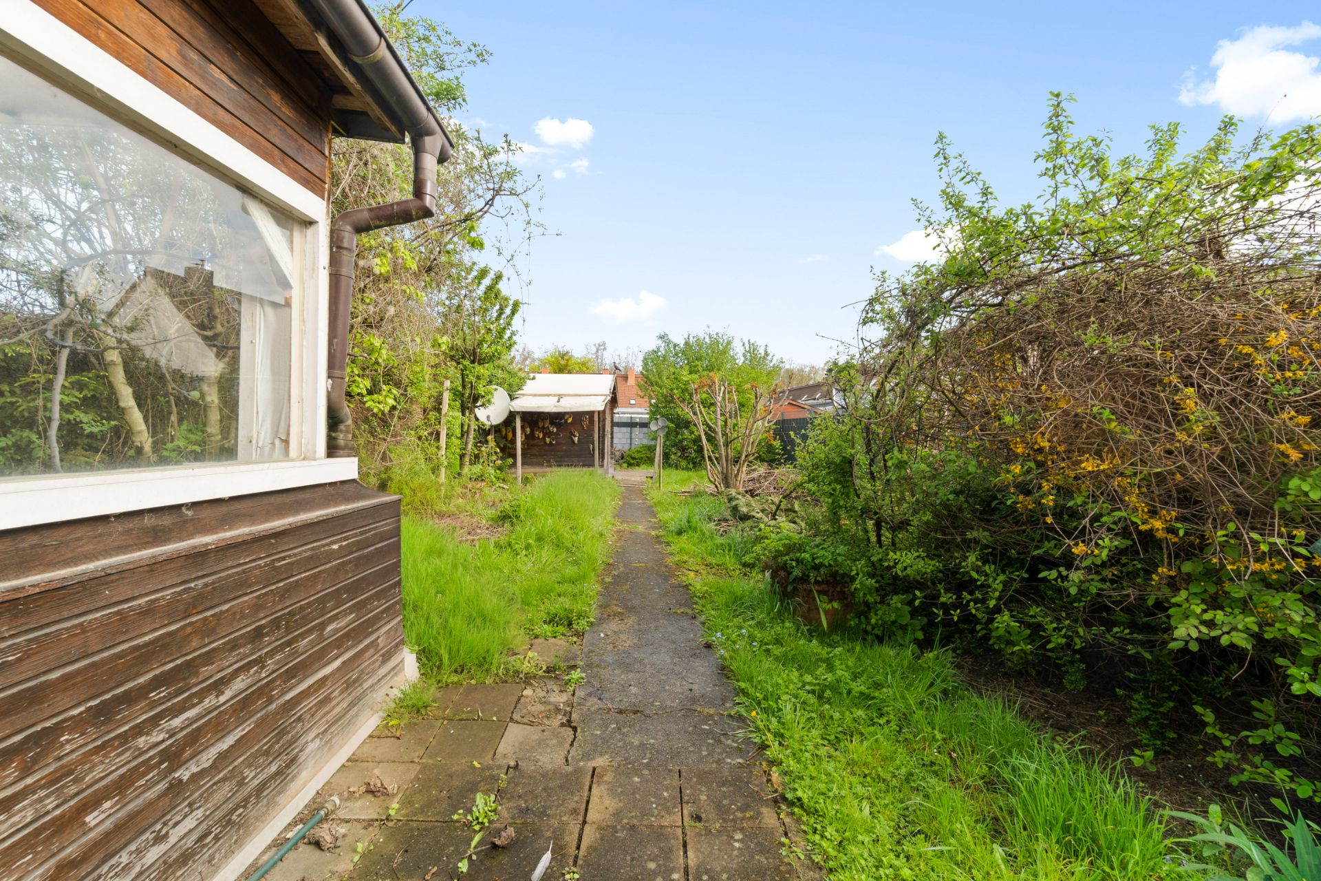 Schmaler Gartenweg neben einem Holzhaus mit viel Grün und Sträuchern.