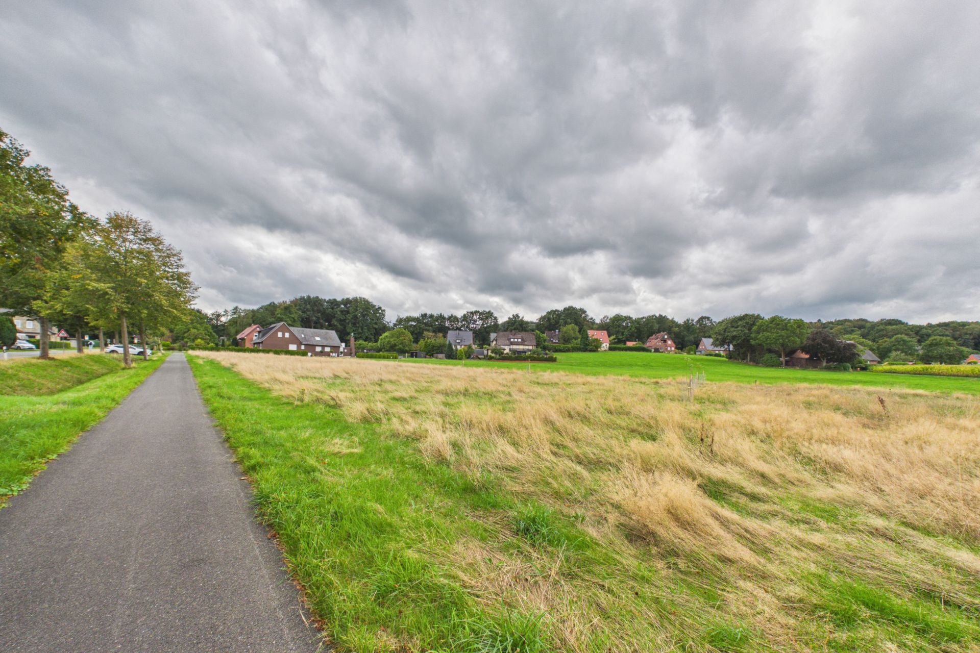 Weg neben einer Wiese mit mehreren Wohnhäusern im Hintergrund unter bewölktem Himmel.