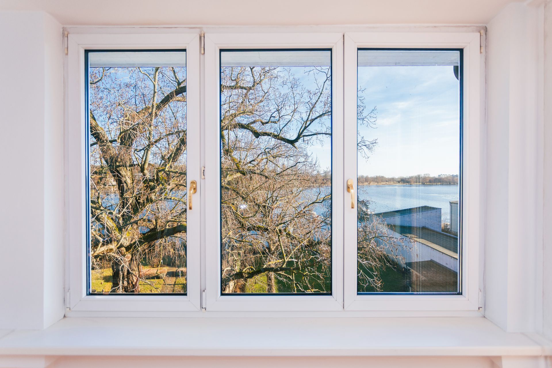 Großes Fenster mit Blick auf Bäume und einen See im Hintergrund.
