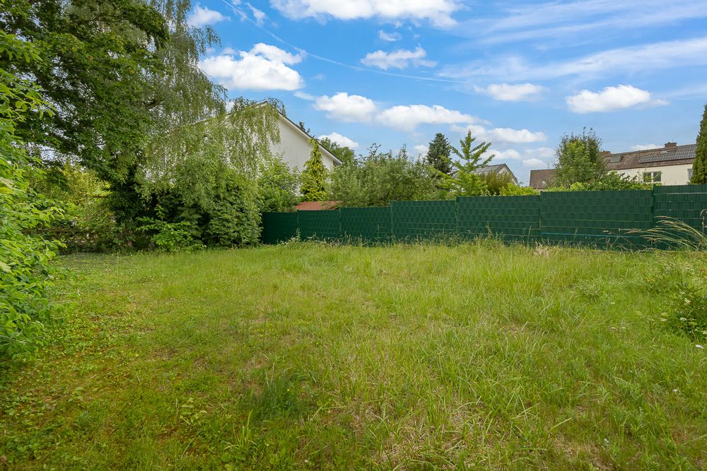 Grüner Garten mit Rasen, Bäumen und einem grünen Zaun im Hintergrund.