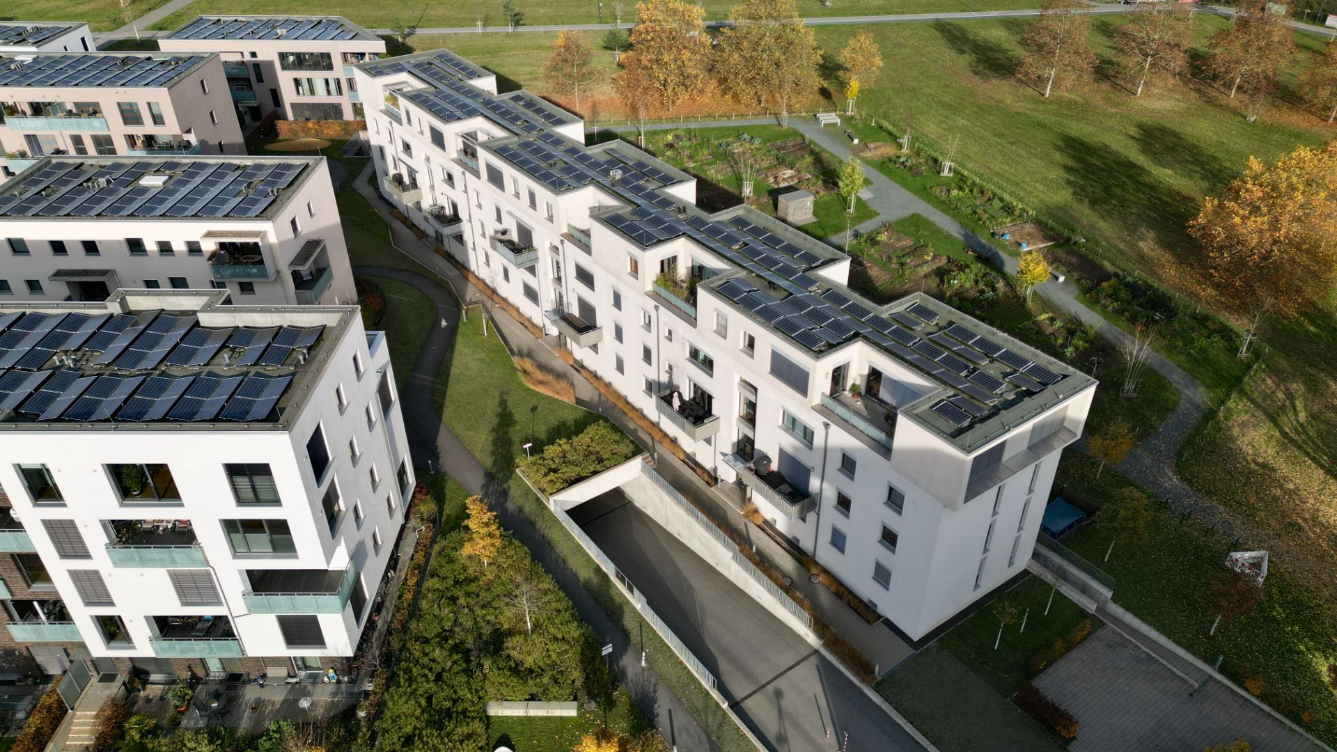 Mehrstöckige Wohngebäude mit Solarpanels auf den Dächern, umgeben von Grünflächen.