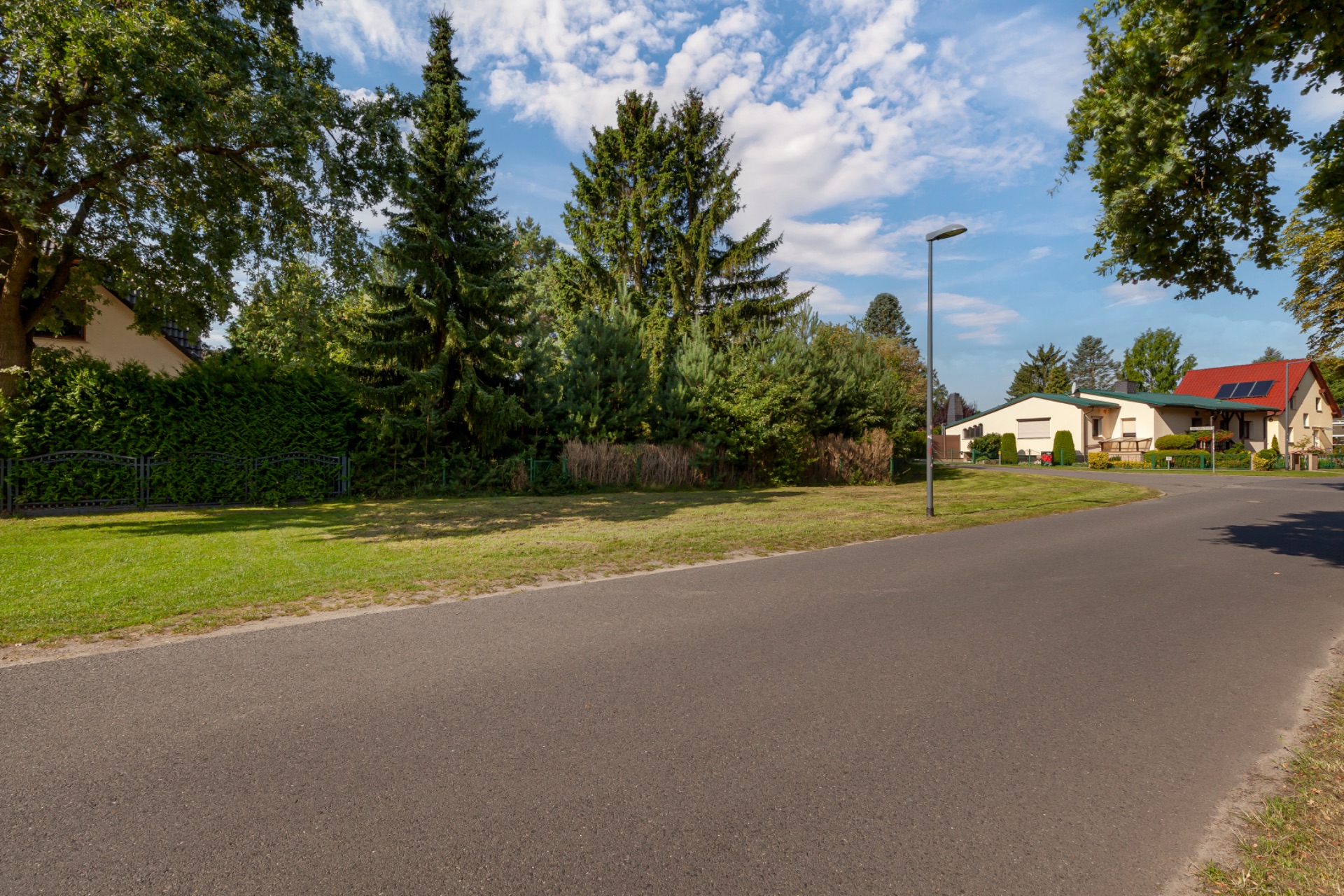 Ruhige Wohnstraße mit Bäumen, Rasen und Häusern im Hintergrund bei sonnigem Wetter.