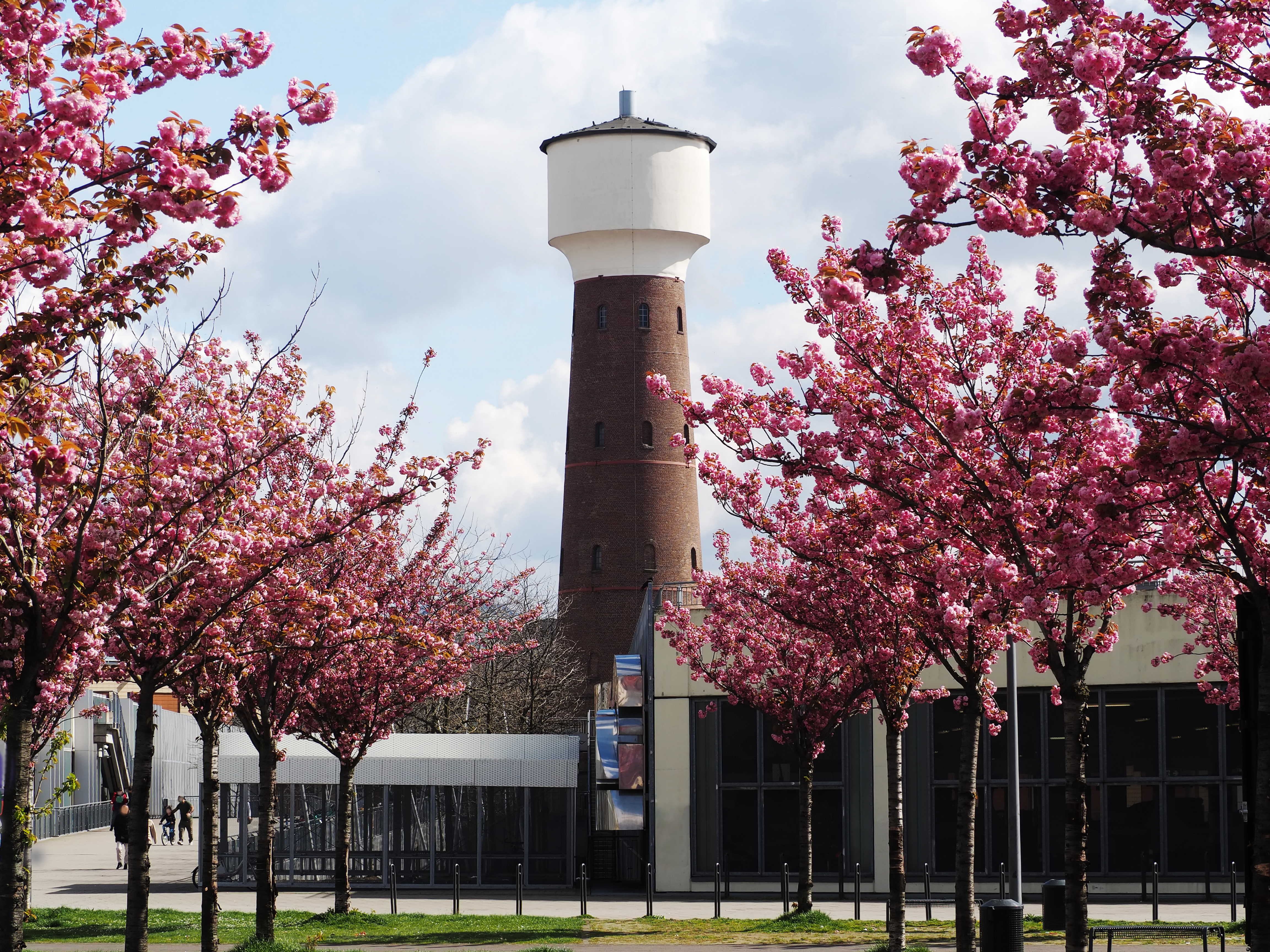 Wohnhaus mit Balkonen und roten Dachziegeln, umgeben von grünen Bäumen.